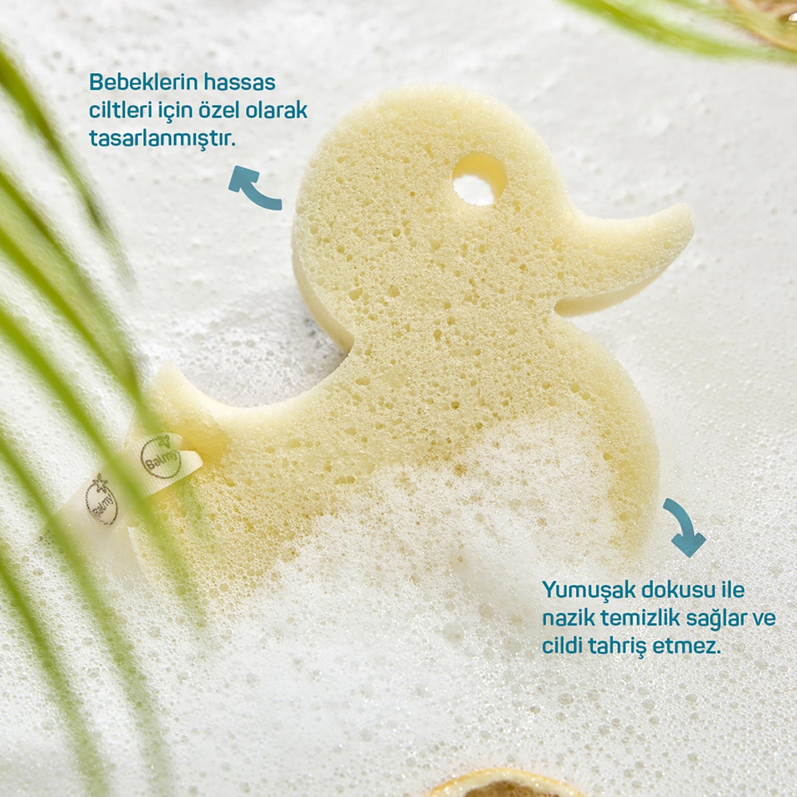 Banyo Süngeri Asortili