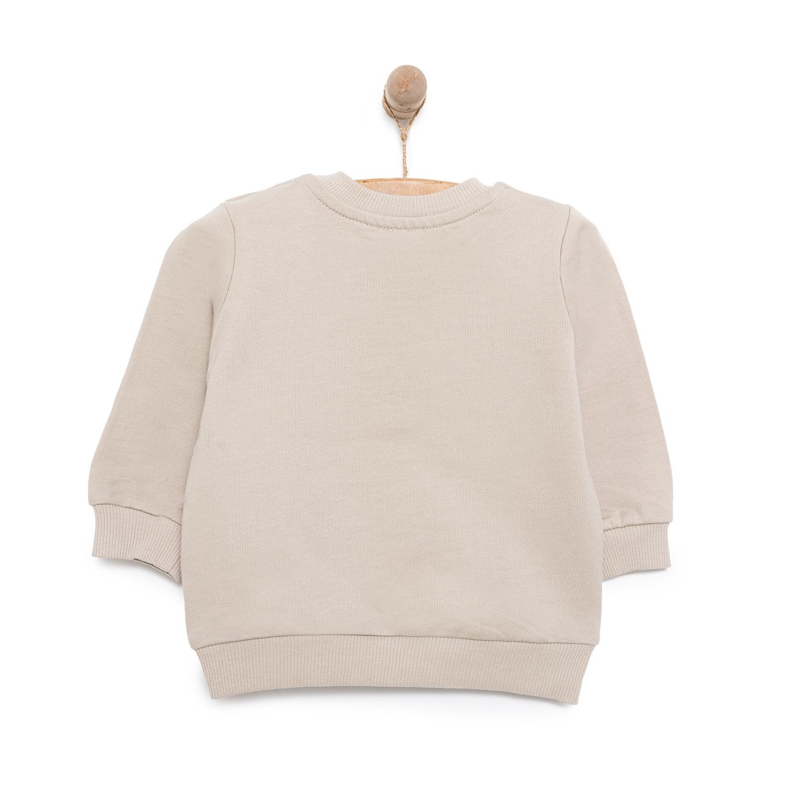 Basic Aslan Desenli Sweatshirt Erkek Bebek