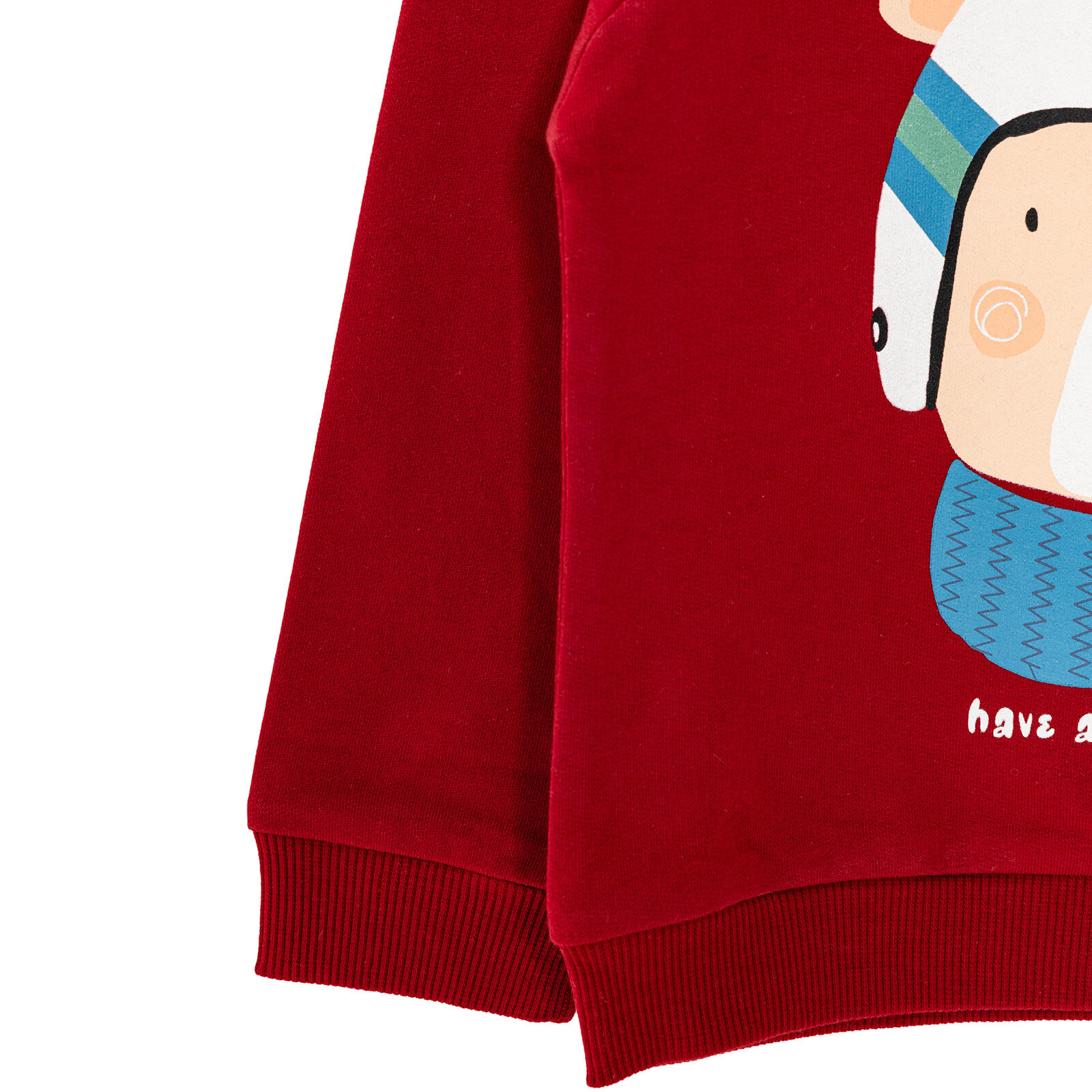 Erkek Bebek Sweatshirt Şardonlu Aslan Desenli Bisiklet Yaka Uzun Kol Bordo