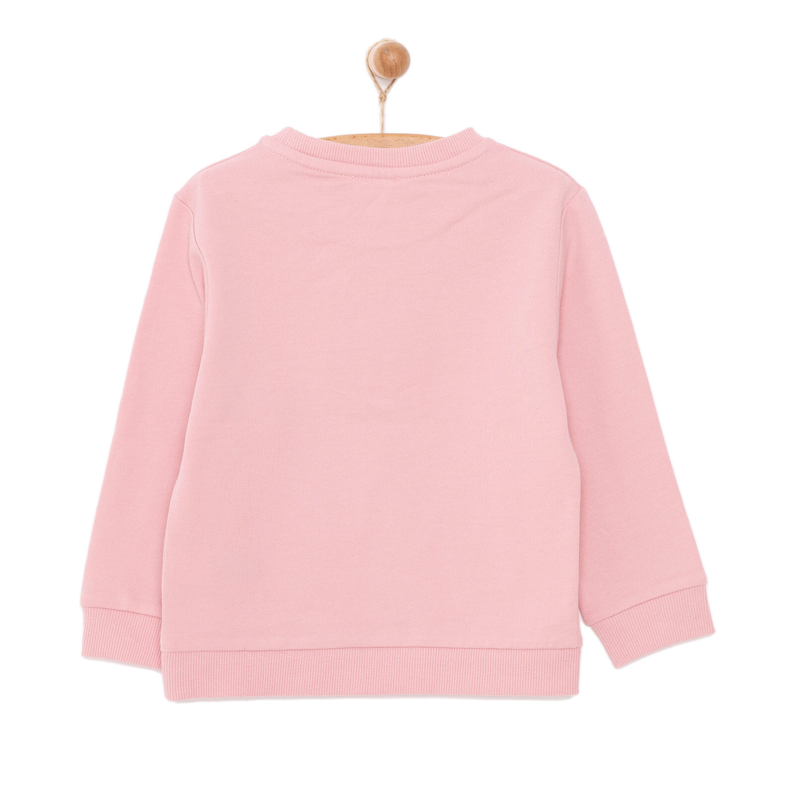 Kız Bebek Sweatshirt Şardonlu Bisiklet Yaka Uzun Kol Pudra Kız Bebek Sweatshirt Şardonlu Bisiklet Yaka Uzun Kol Pudra