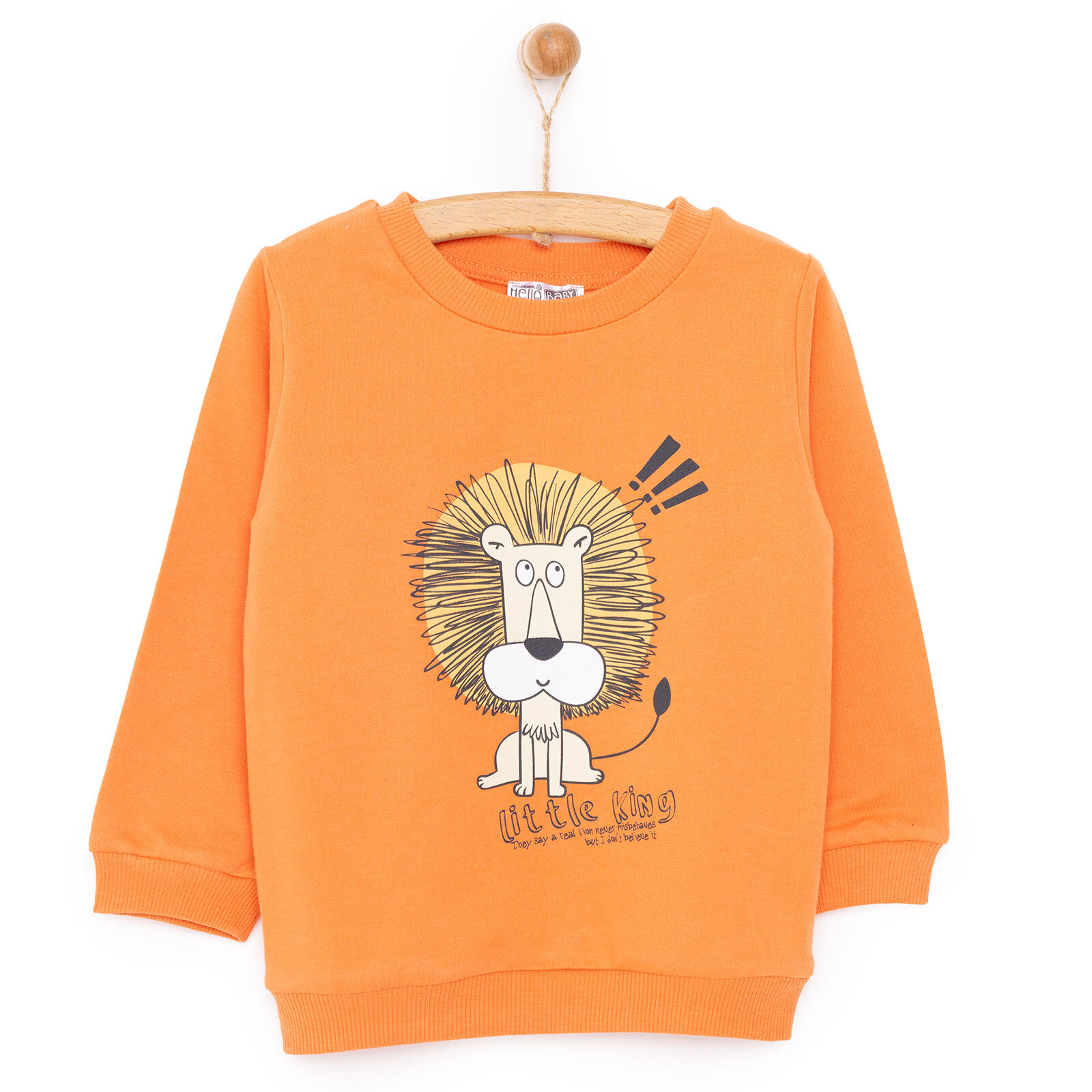 Basic Az Şardonlu Aslan Desenli Sweatshirt