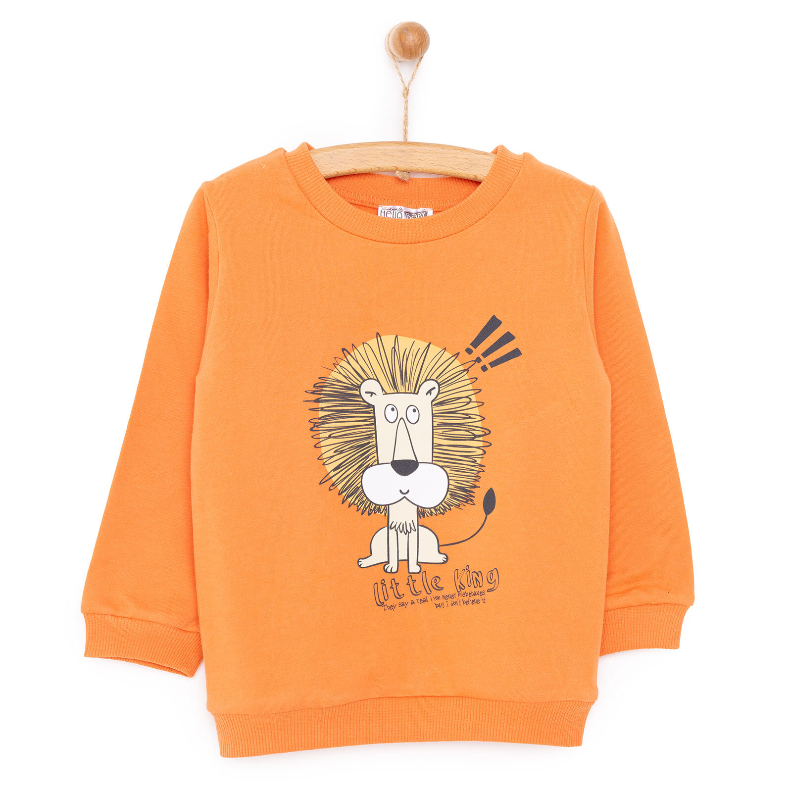 Basic Az Şardonlu Aslan Desenli Sweatshirt