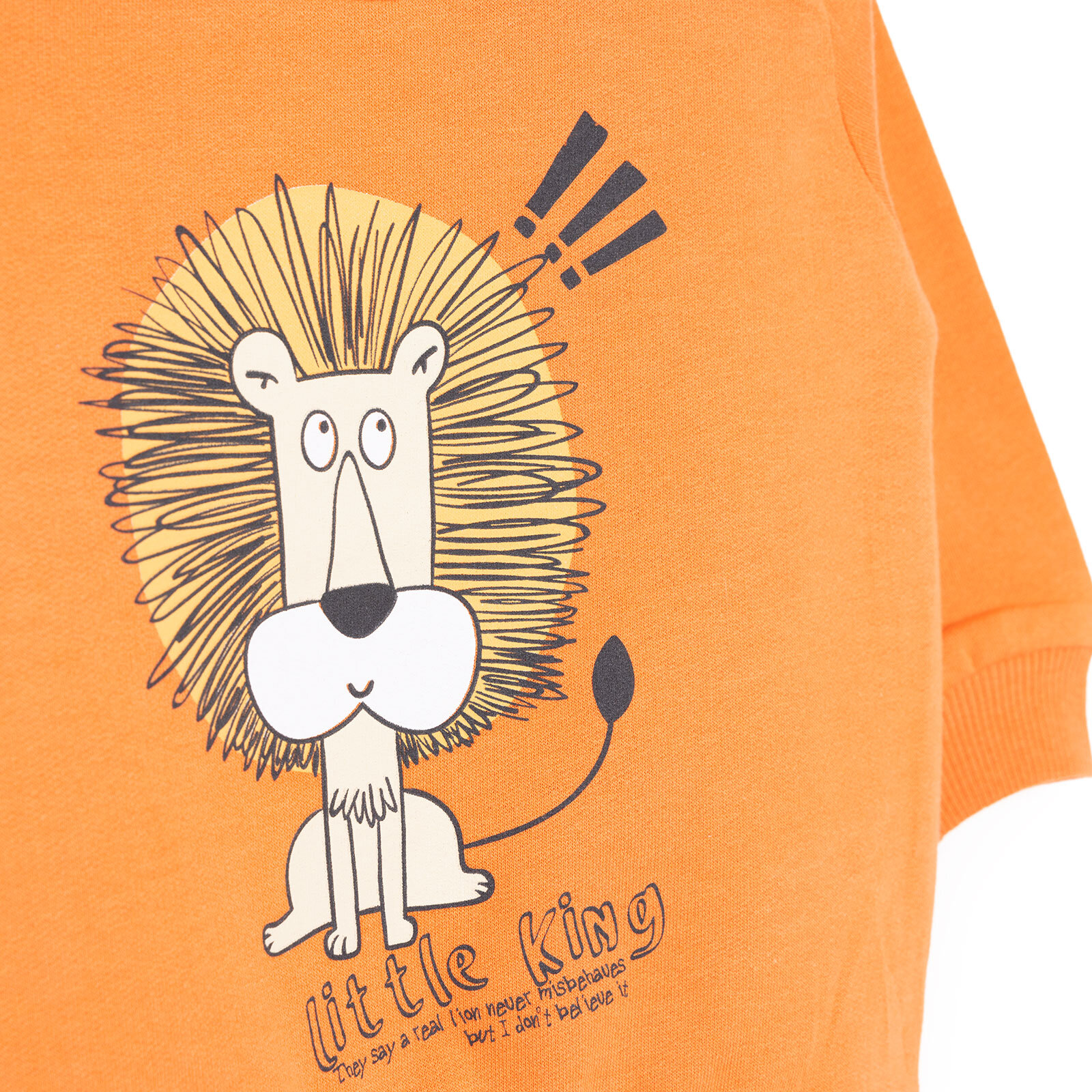 Basic Az Şardonlu Aslan Desenli Sweatshirt