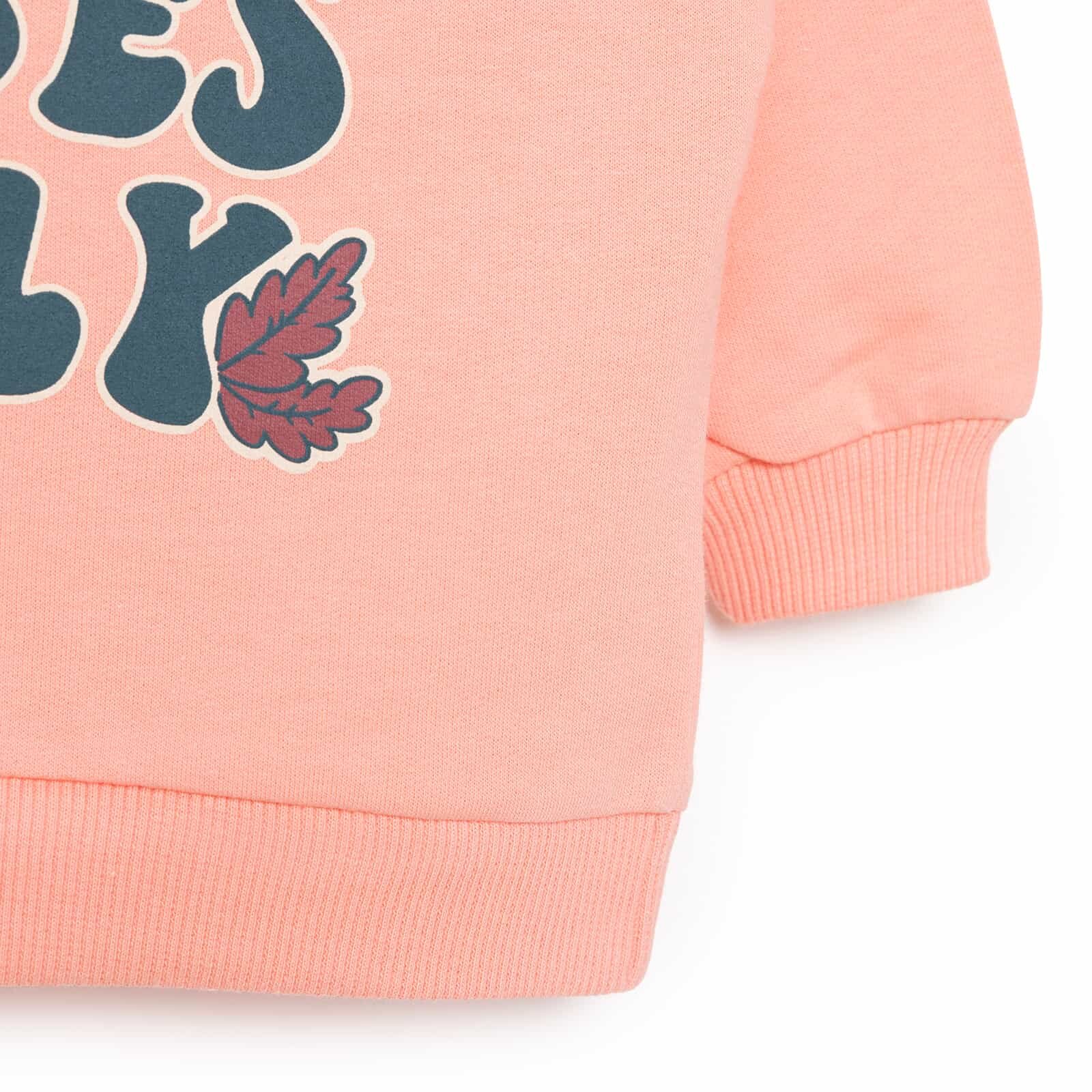 Basic Az Şardonlu Çiçekli Yazı Desenli Sweatshirt Kız Bebek Basic Az Şardonlu Çiçekli Yazı Desenli Sweatshirt Kız Bebek
