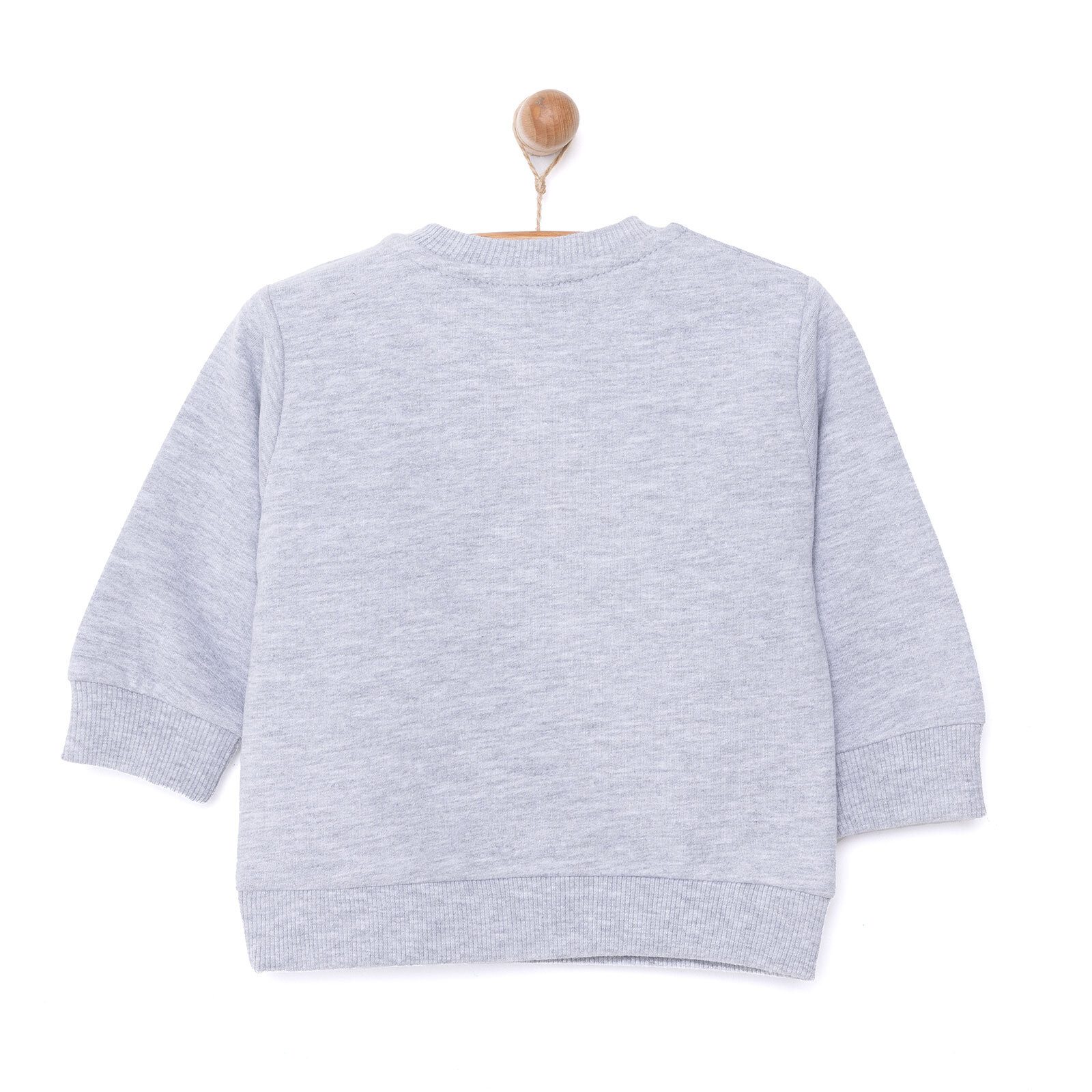 Basic Az Şardonlu Dinozor Desenli Sweatshirt Erkek Bebek Basic Az Şardonlu Dinozor Desenli Sweatshirt Erkek Bebek