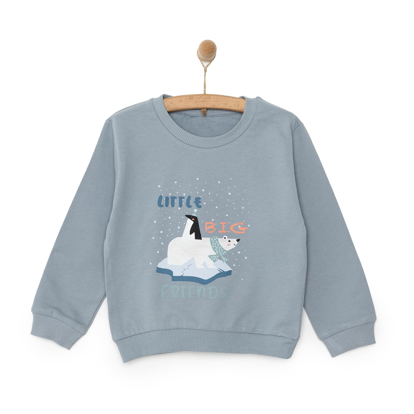 Basic Az Şardonlu Kutup Ayısı Desenli Sweatshirt Erkek Bebek