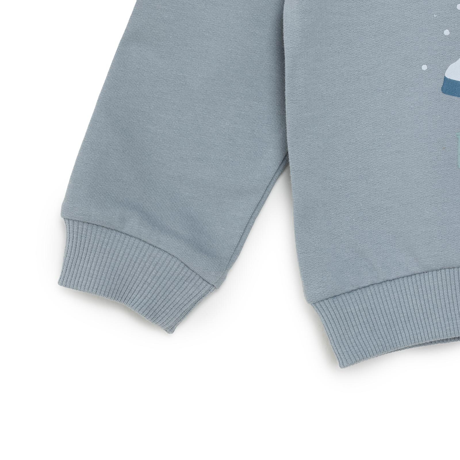 Basic Az Şardonlu Kutup Ayısı Desenli Sweatshirt Erkek Bebek