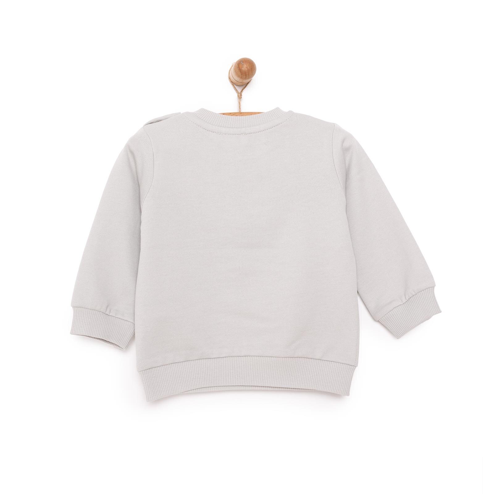 Erkek Bebek Sweatshirt Şardonlu Penguen Baskılı Bisiklet Yaka Uzun Kol Gri Erkek Bebek Sweatshirt Şardonlu Penguen Baskılı Bisiklet Yaka Uzun Kol Gri