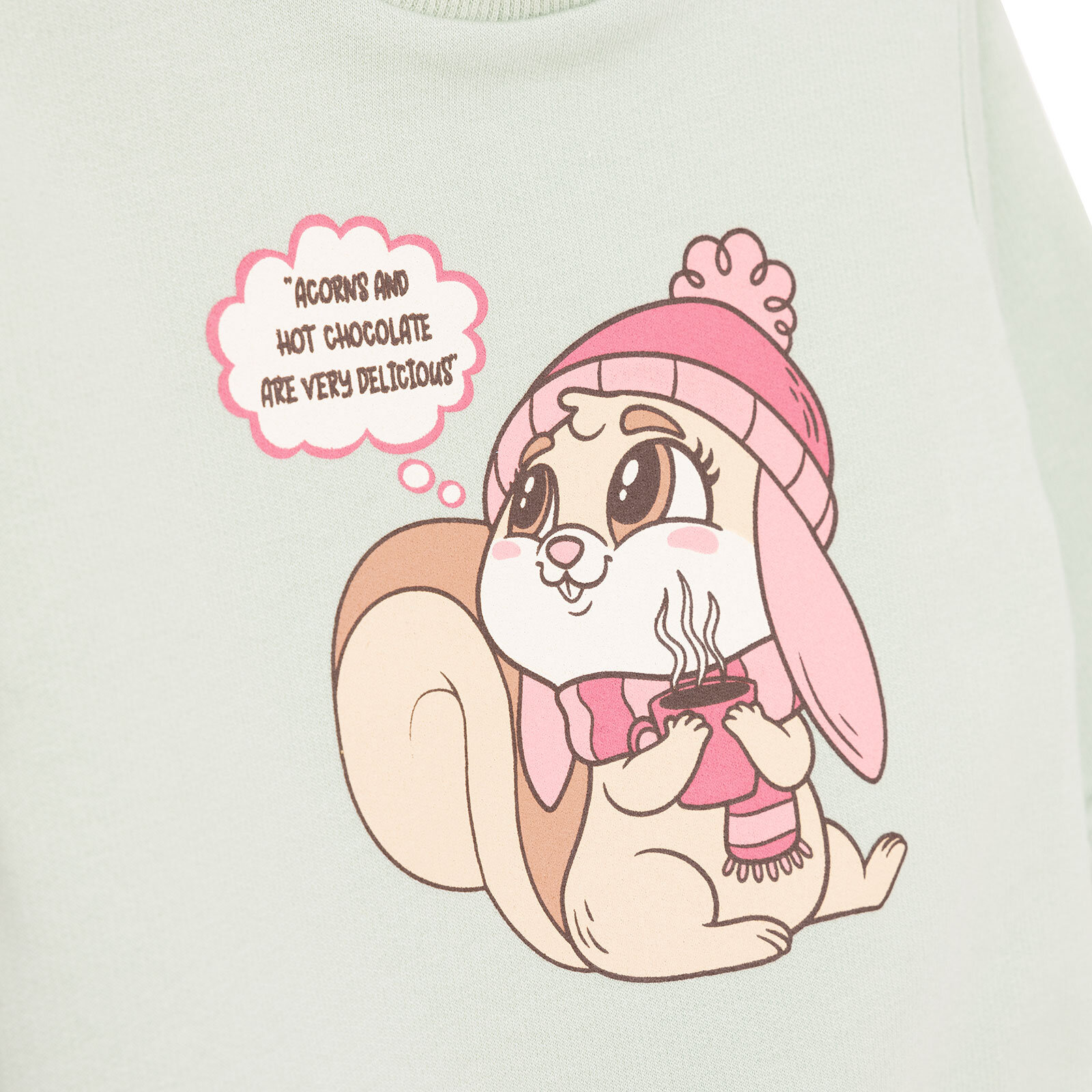 Kız Bebek Sweatshirt Şardonlu Sincap Desenli Bisiklet Yaka Uzun Kol Mint Kız Bebek Sweatshirt Şardonlu Sincap Desenli Bisiklet Yaka Uzun Kol Mint