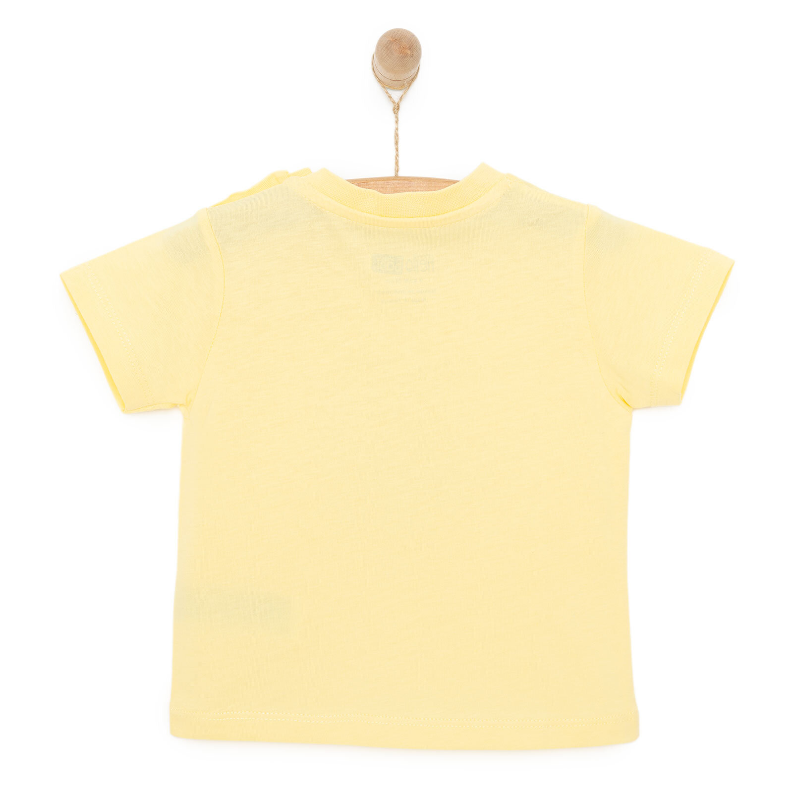 Basic Erkek Aslan Baskılı T-Shirt Erkek Bebek