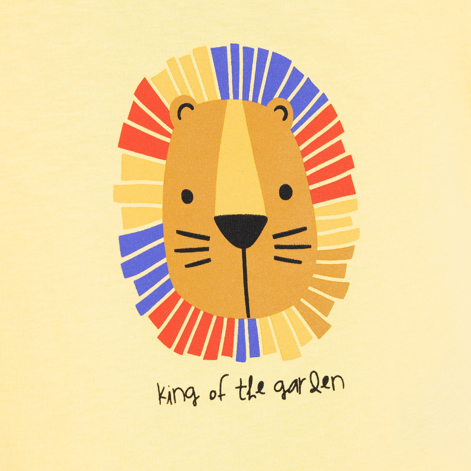 Basic Erkek Aslan Baskılı T-Shirt Erkek Bebek