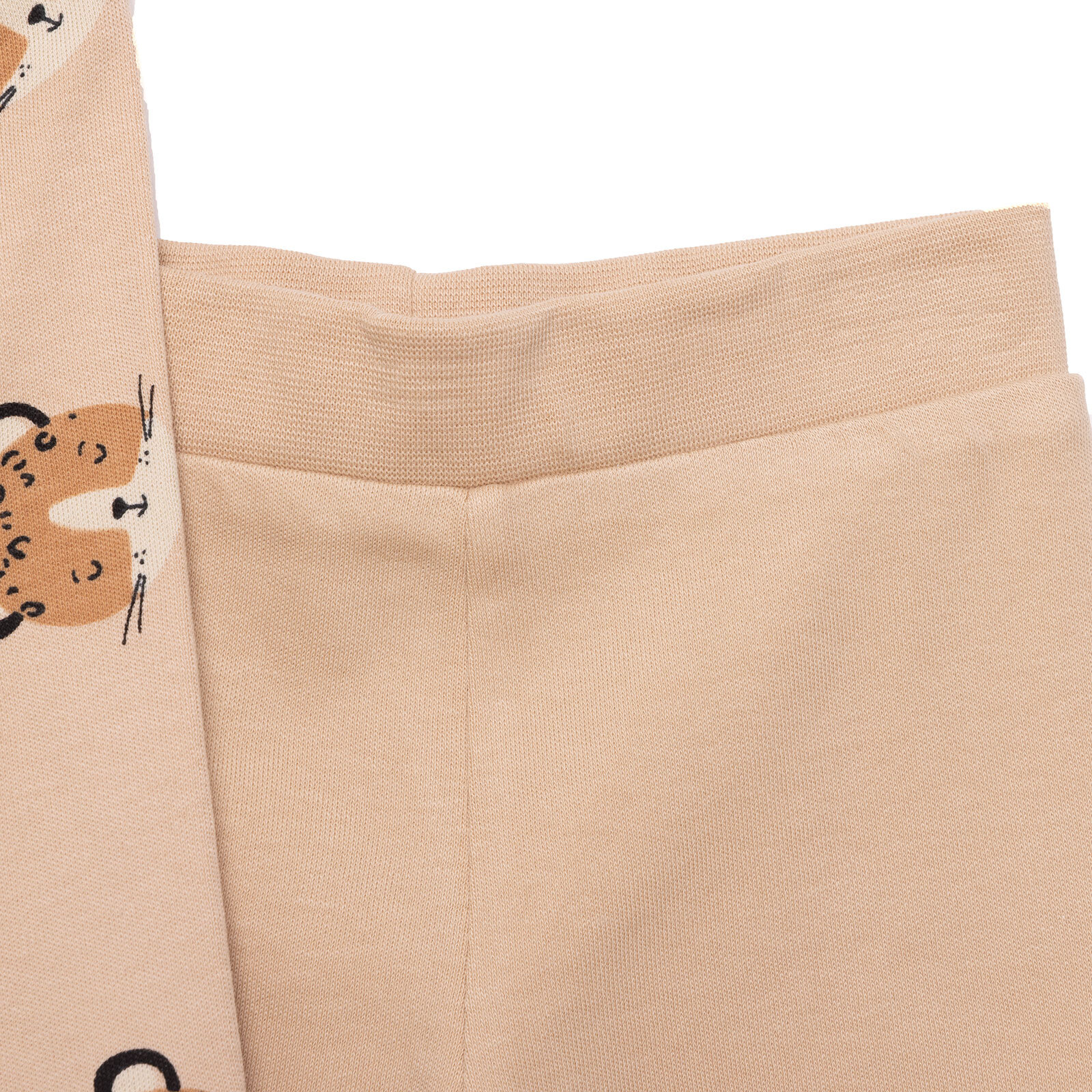 Basic Erkek Ayıcık Baskılı 2li Patiksiz Alt Erkek Bebek Basic Erkek Ayıcık Baskılı 2li Patiksiz Alt Erkek Bebek