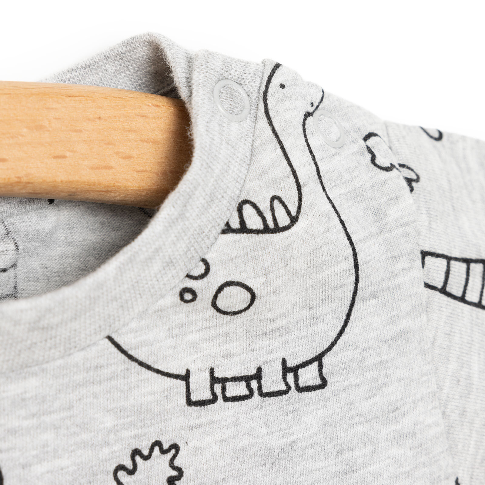 Basic Erkek Dino Eşler Baskılı T-Shirt Erkek Bebek