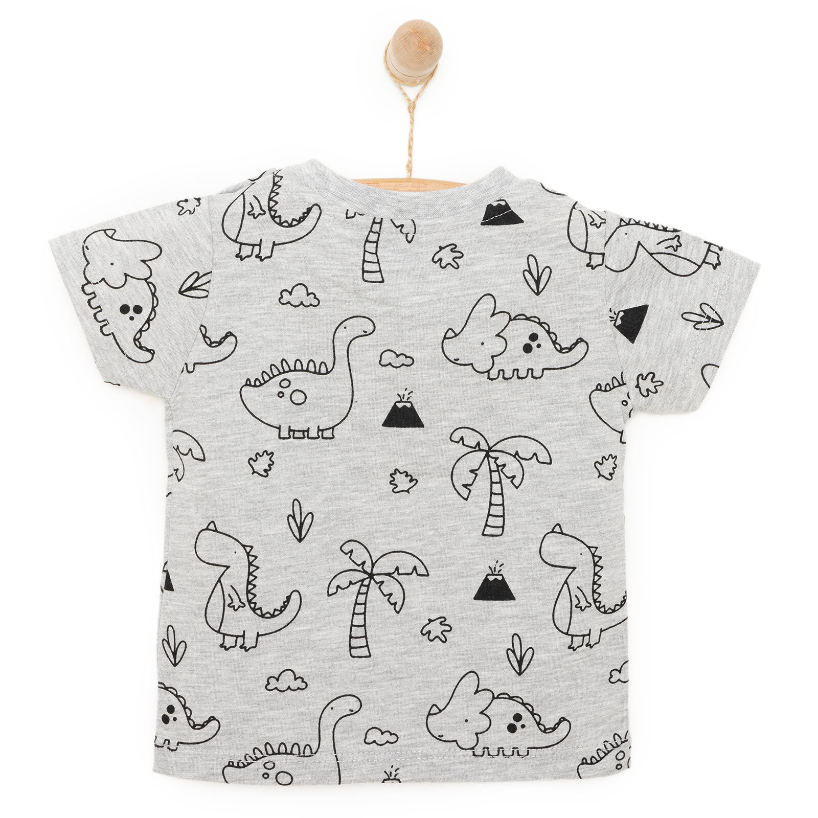 Basic Erkek Dino Eşler Baskılı T-Shirt Erkek Bebek