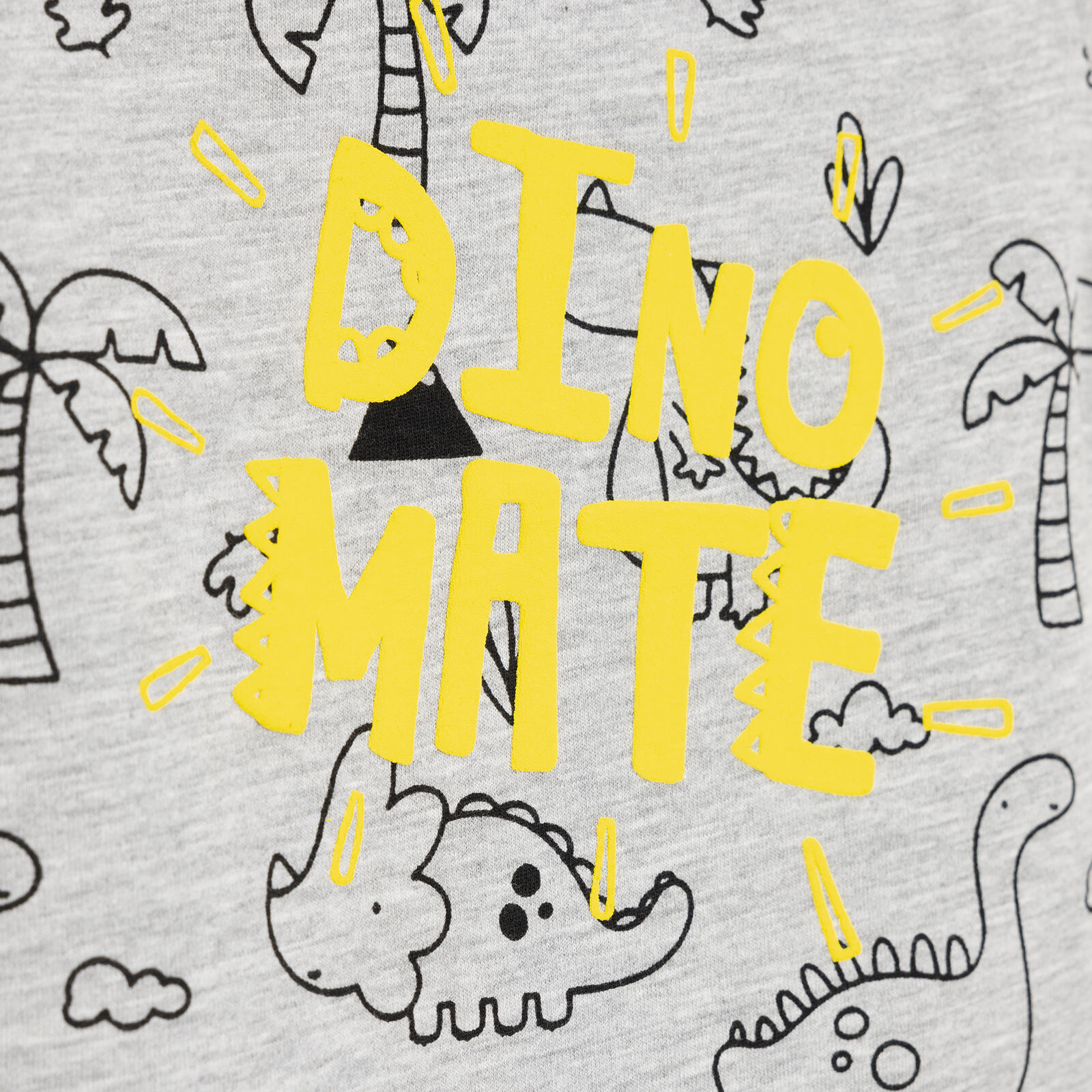 Basic Erkek Dino Eşler Baskılı T-Shirt Erkek Bebek