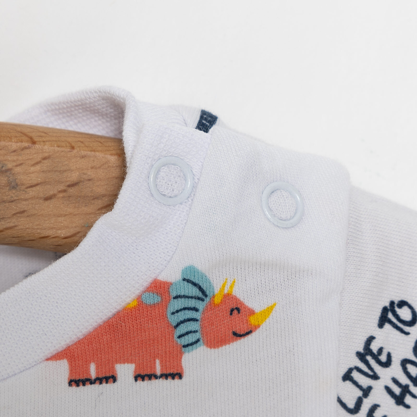 Basic Erkek Dinozor Baskılı T-Shirt Erkek Bebek