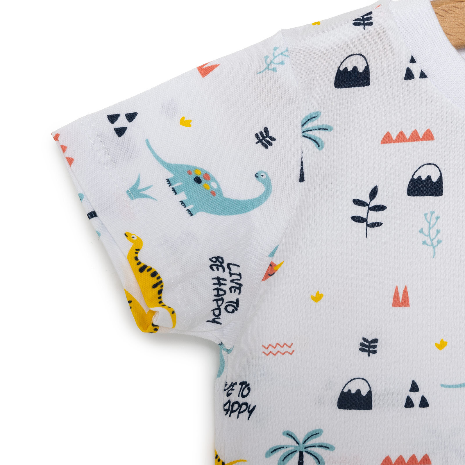 Basic Erkek Dinozor Baskılı T-Shirt Erkek Bebek