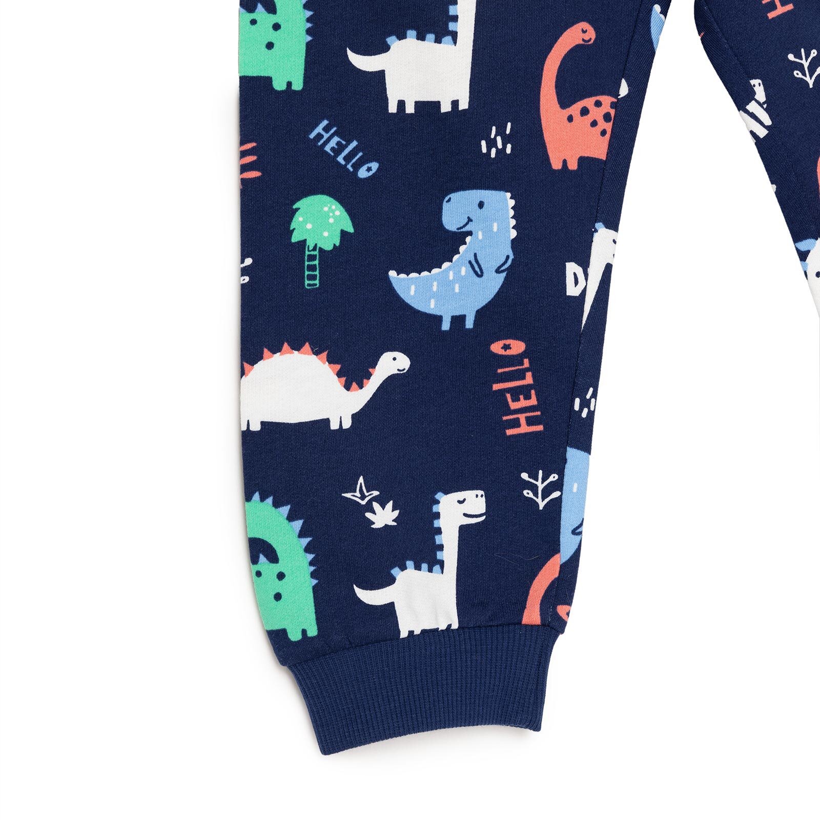 Basic Erkek Dinozor Desenli Eşofman Takımı Erkek Bebek