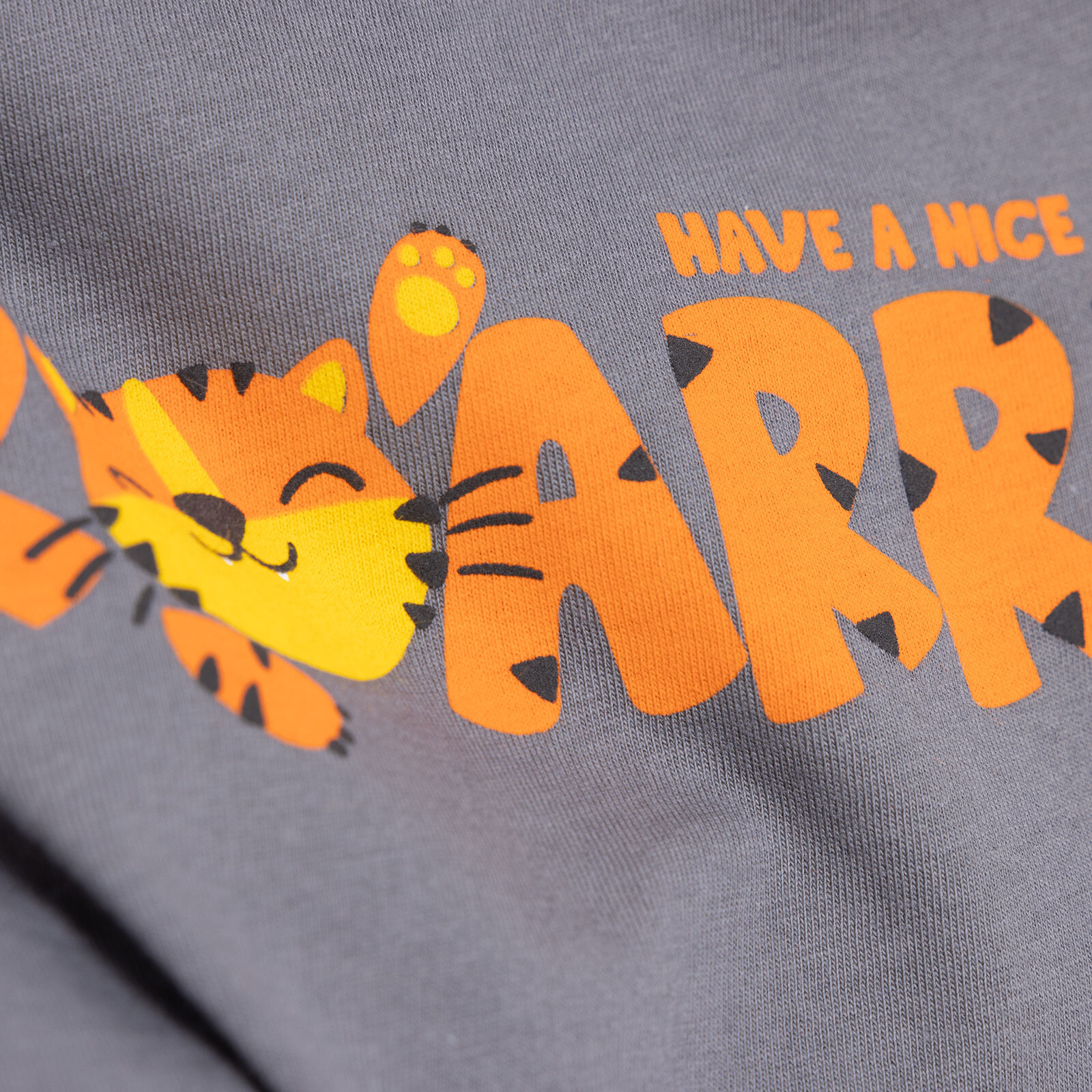 Basic Erkek Kaplan Baskılı T-Shirt Erkek Bebek