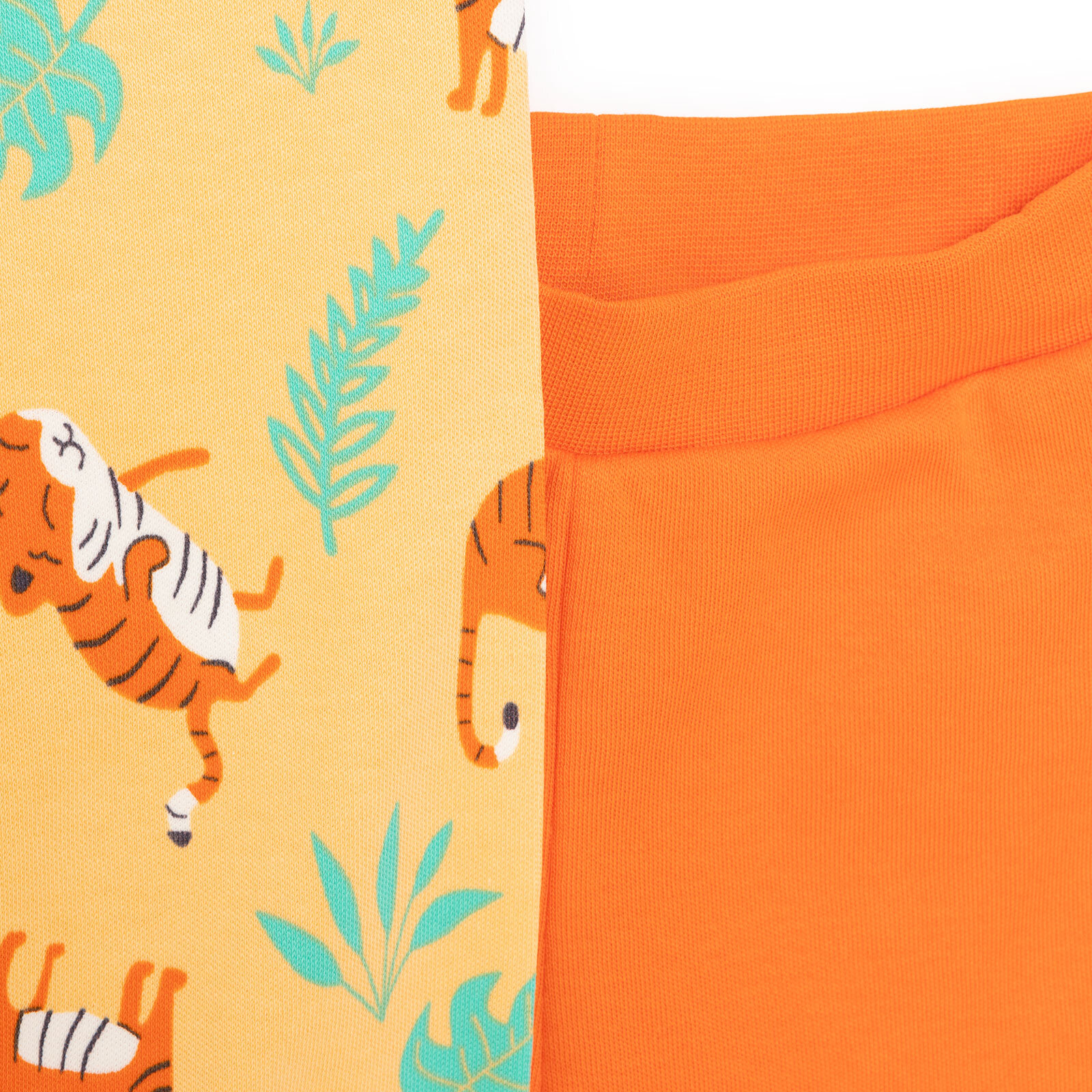 Basic Erkek Kaplan Desenli 2li Patiksiz Alt Erkek Bebek