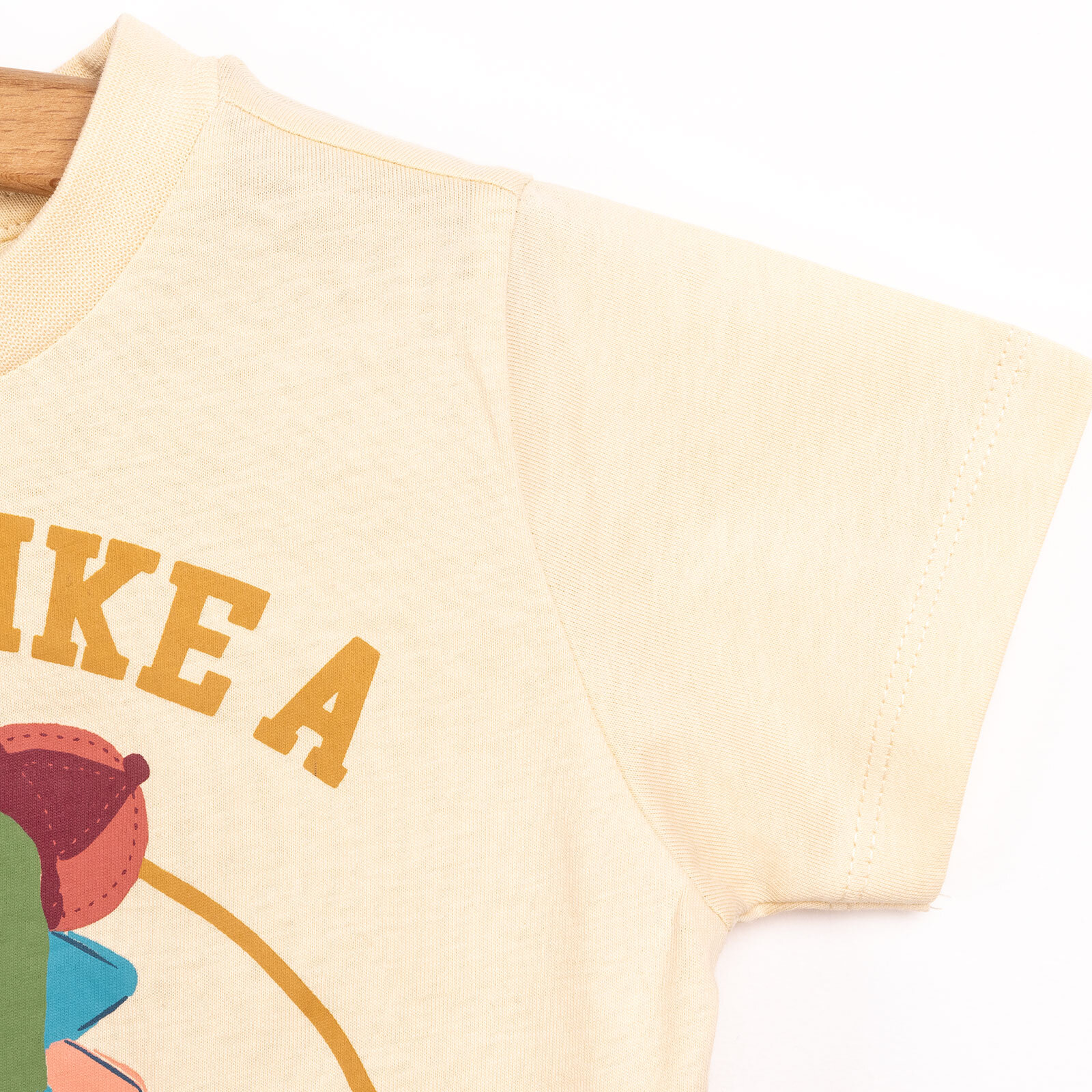 Basic Erkek Şampiyon Dinozor Baskılı Şortlu Takım Erkek Bebek