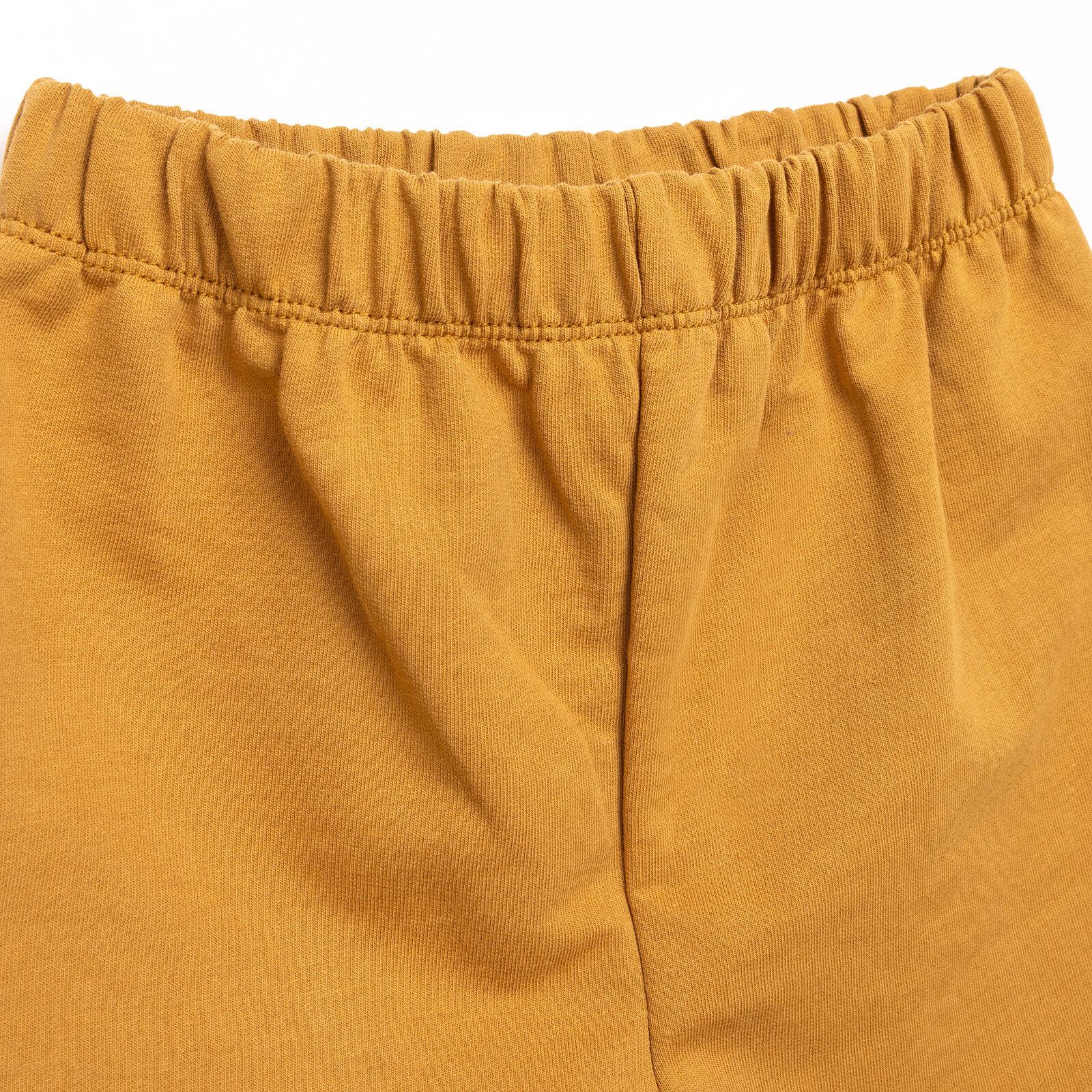 Basic Erkek Şampiyon Dinozor Baskılı Şortlu Takım Erkek Bebek