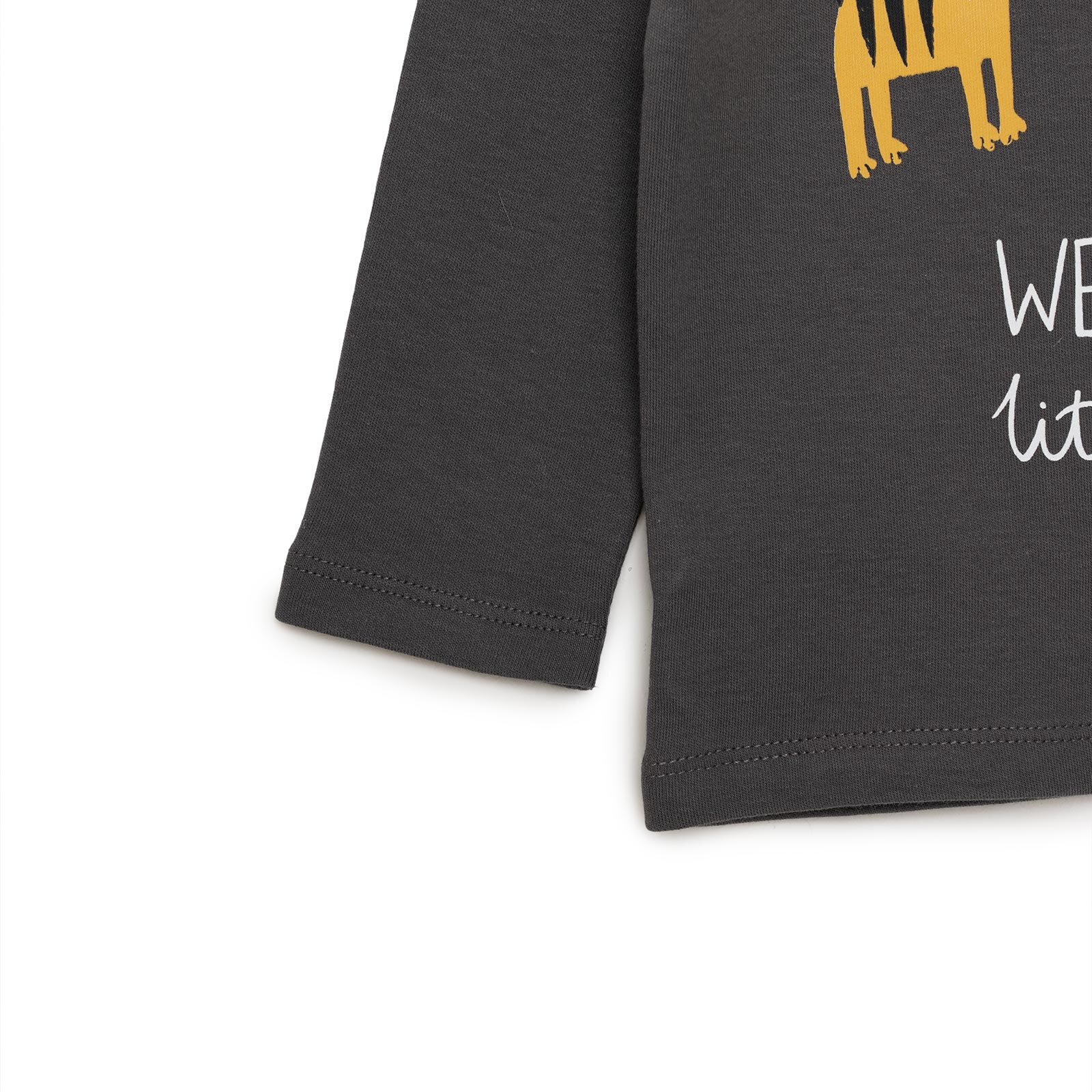 Basic Kedi Desenli İnterlok Uzun kol Tshirt Erkek Bebek Basic Kedi Desenli İnterlok Uzun kol Tshirt Erkek Bebek