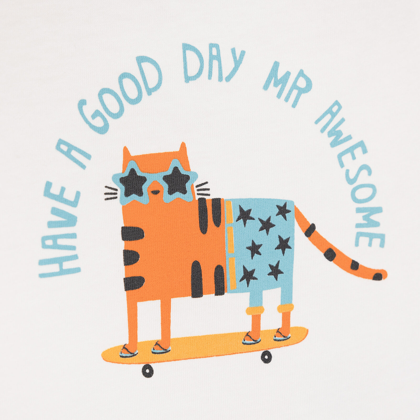 Basic Kedi Desenli Tshirt Erkek Bebek