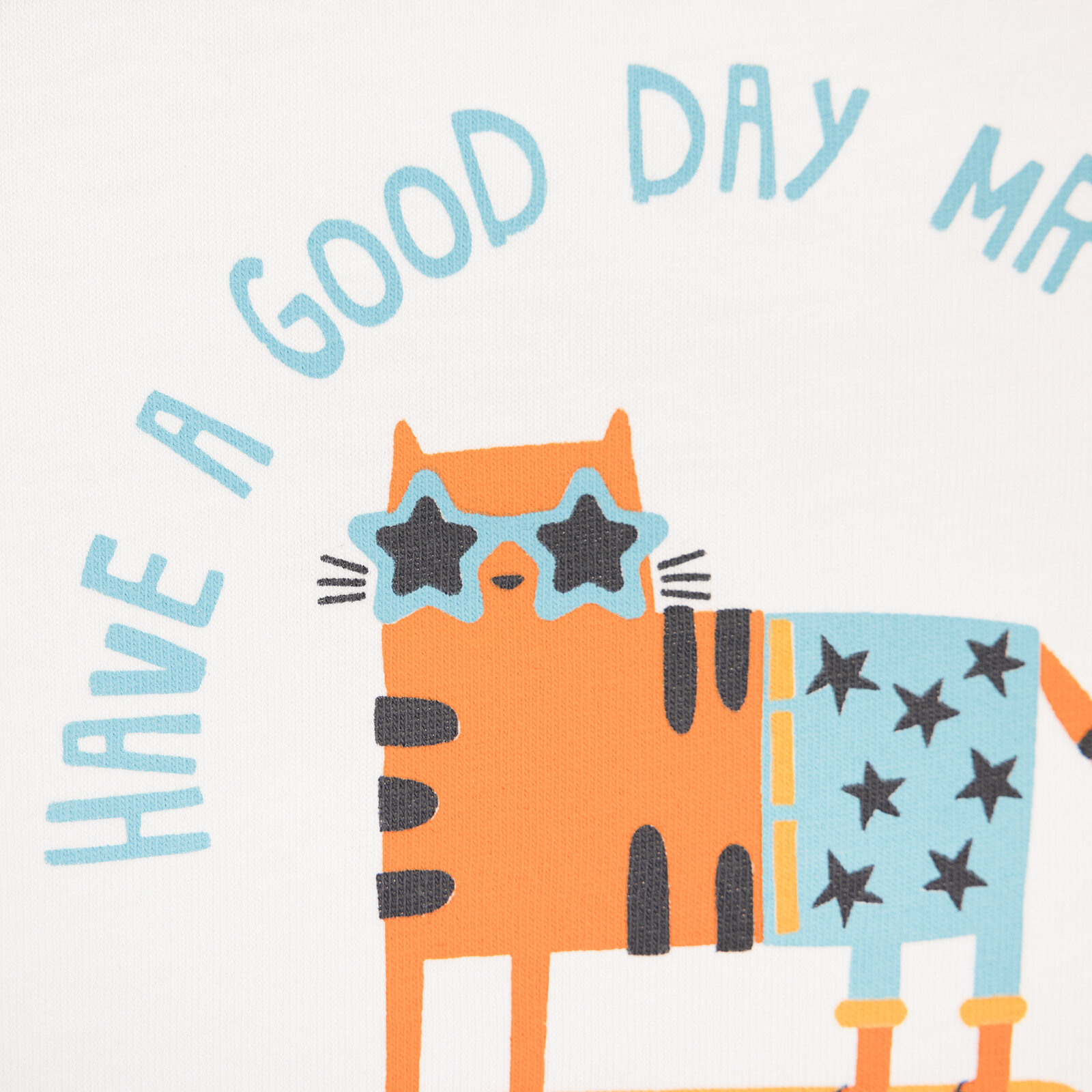 Basic Kedi Desenli Tshirt Erkek Bebek