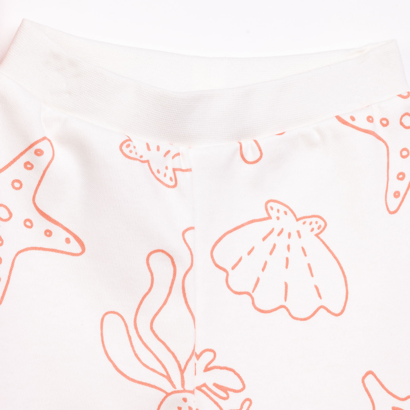 Basic Kız Deniz Yıldızı Desenli 2li Patiksiz Alt Kız Bebek Basic Kız Deniz Yıldızı Desenli 2li Patiksiz Alt Kız Bebek