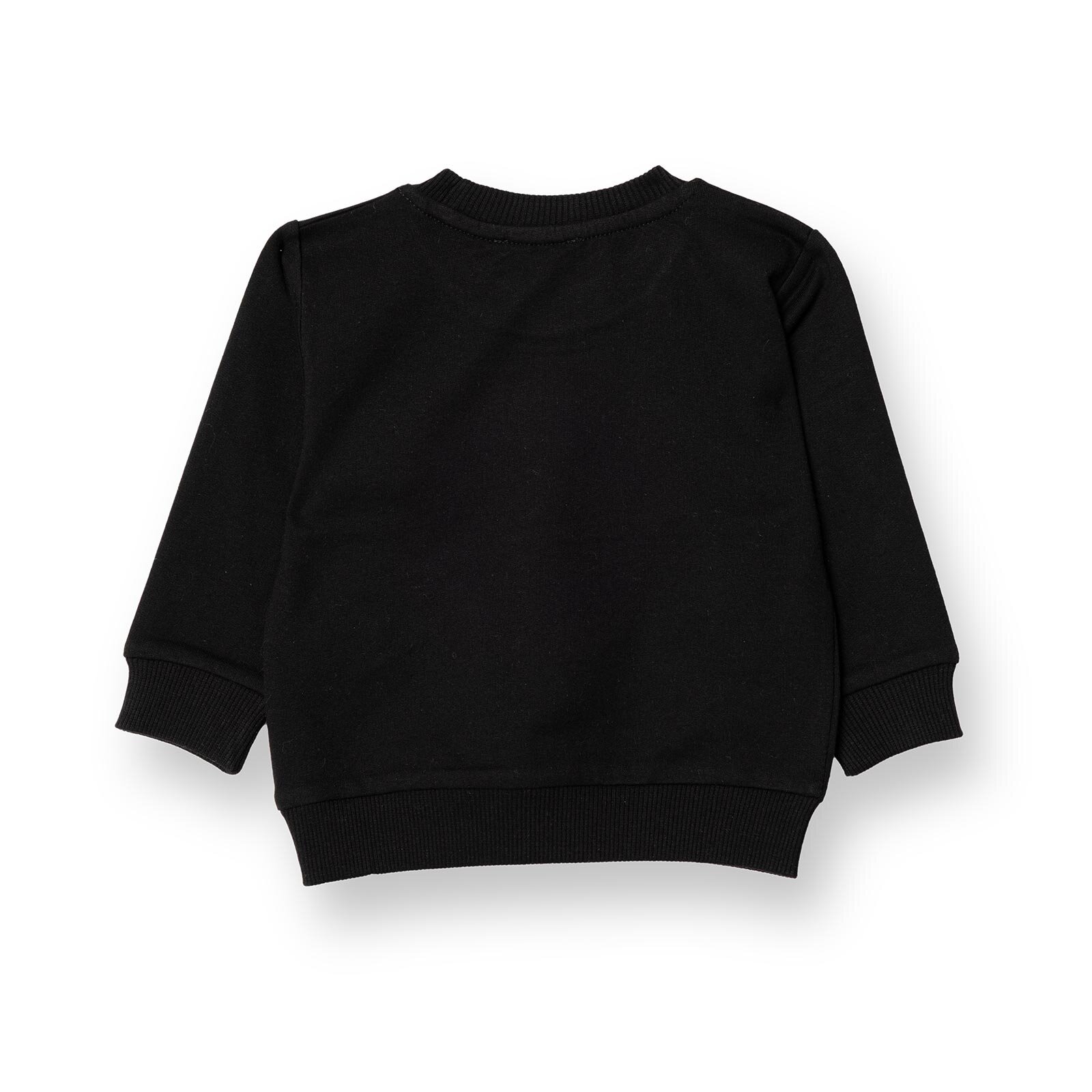 Basic Sweatshirt Basic Sweatshirt