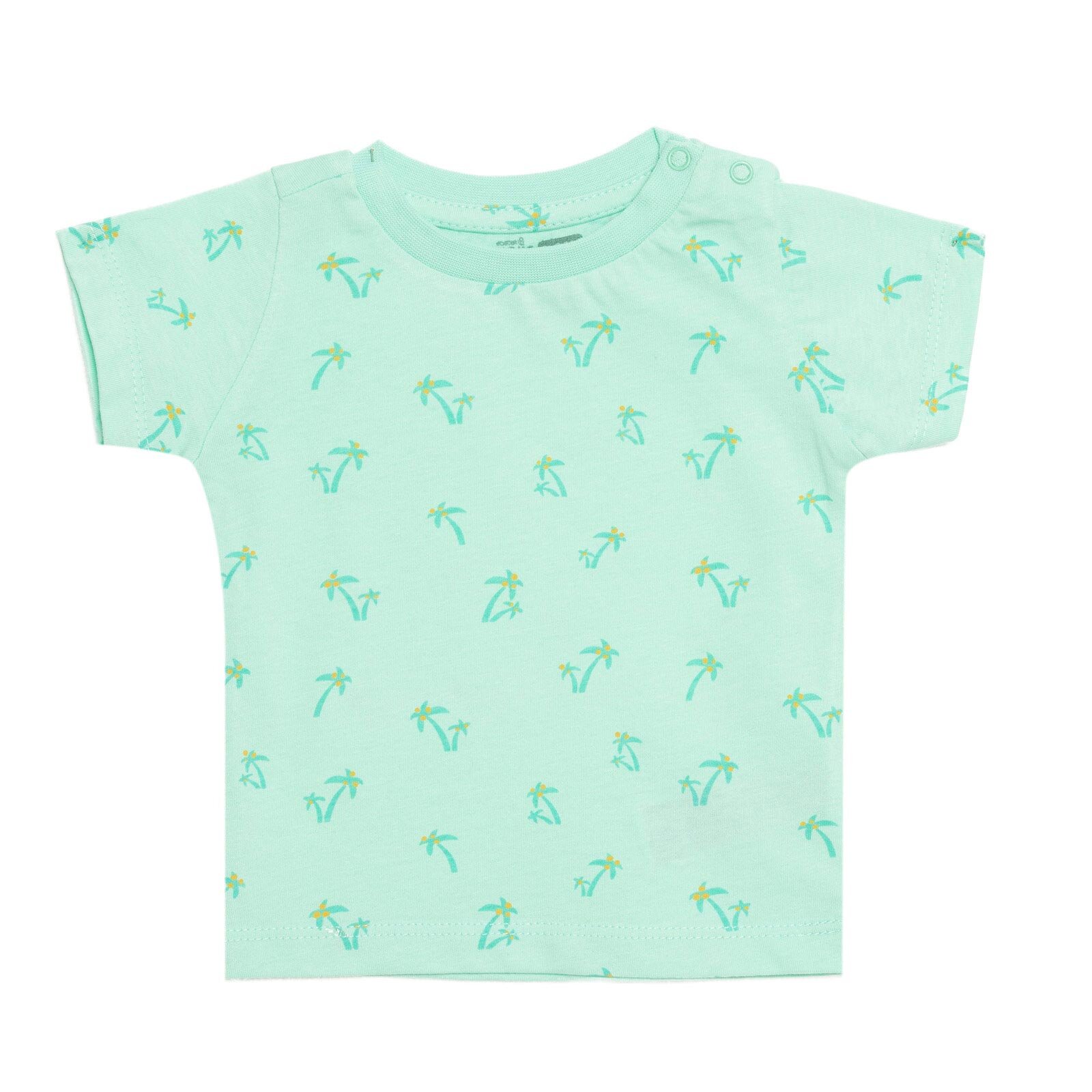 Basic Tshirt Basic Tshirt