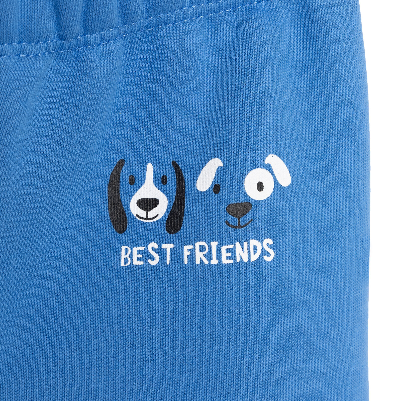 Basic Üç İplik Baskılı Eşofman Alt Erkek Bebek