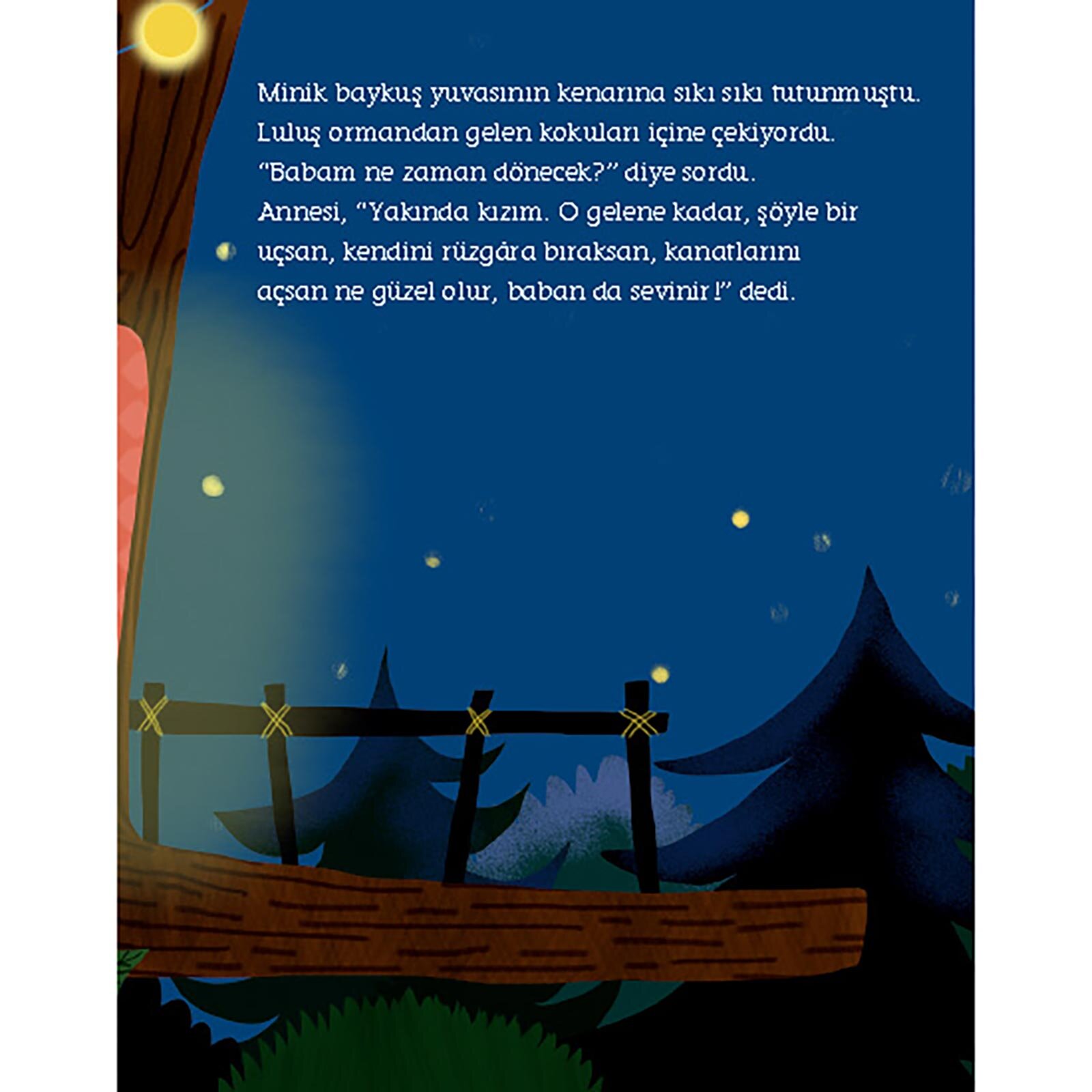 Baykuş Luluş Yuvasından Ayrılmak İstemiyor