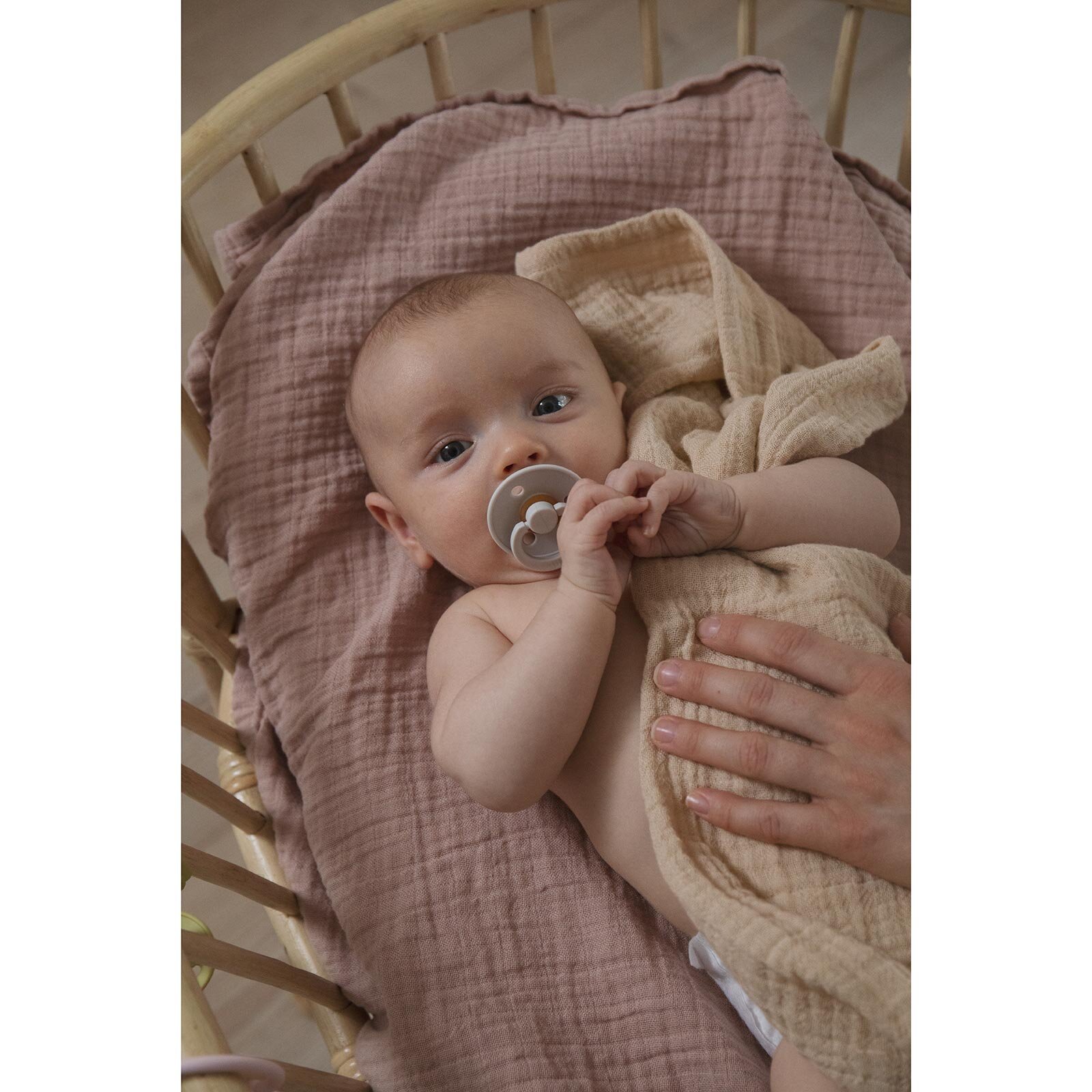 Bibs Colour Kauçuk Emzik-Ivory-6+ Ay