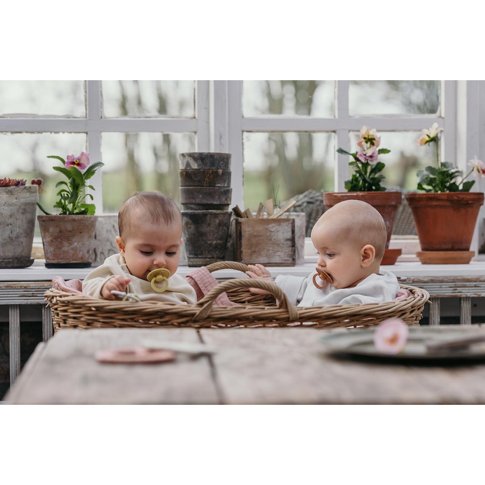 Bibs Colour Kauçuk Emzik-Mustard-0-6 Ay