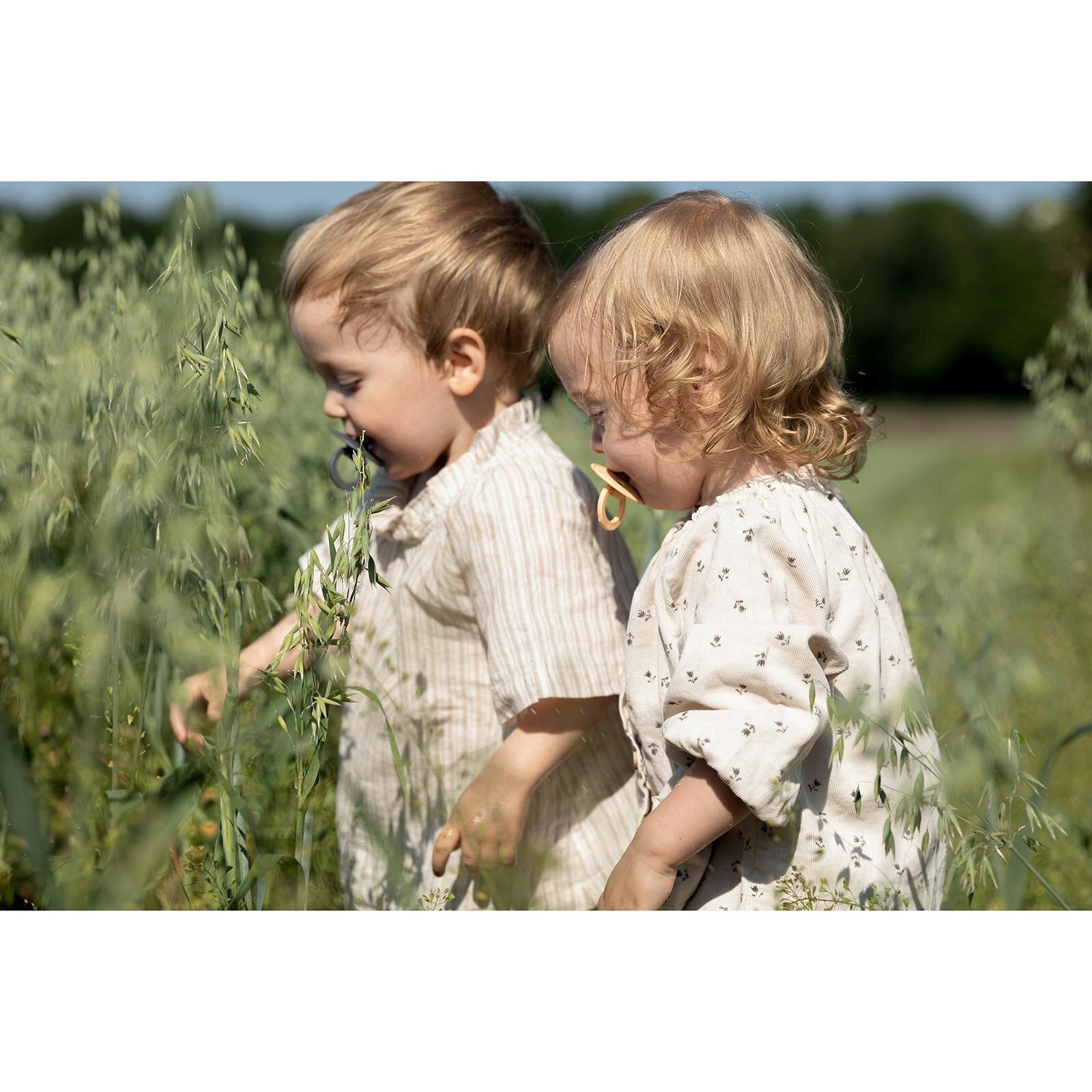 Bibs De Lux Silikon Emzik-Blush-0-36 Ay