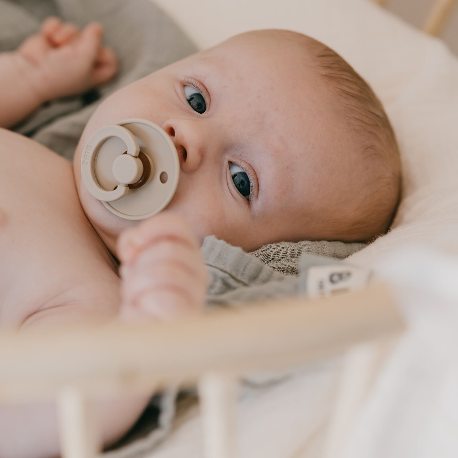 Bibs Colour Kauçuk Emzik-Sage-6+ Ay Bibs Colour Kauçuk Emzik-Sage-6+ Ay