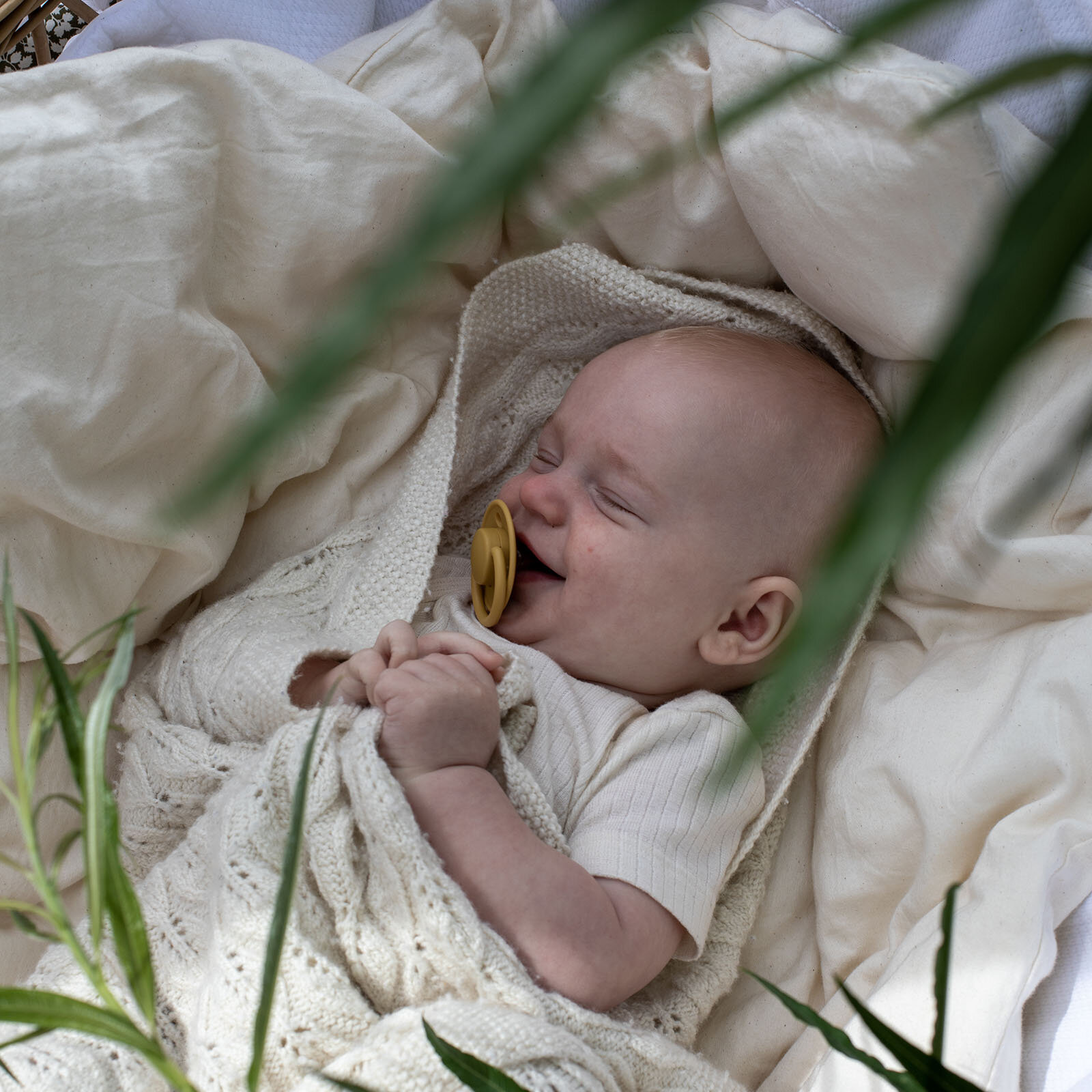 Bibs Colour Kauçuk Emzik-Sage-18+ Ay