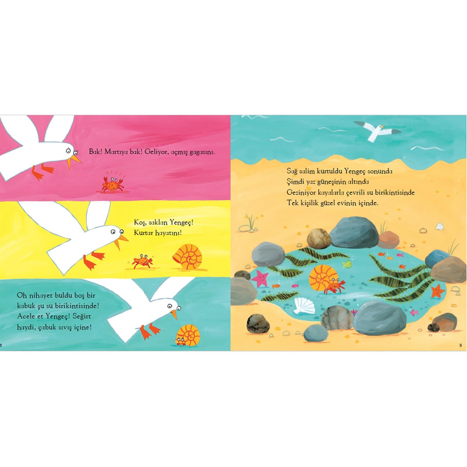 Bir Kabuğu Paylaşmak