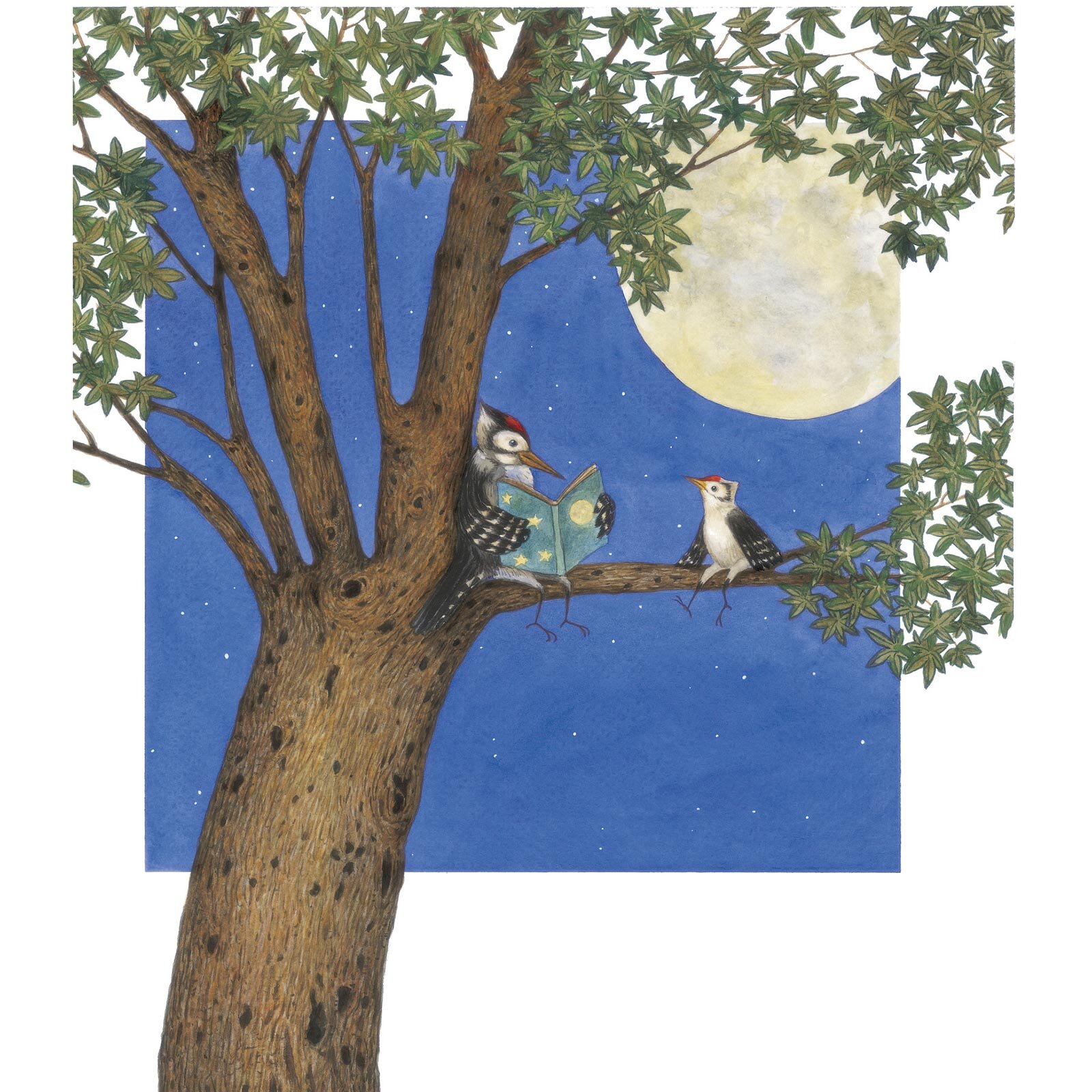 Bir Lokmalık Masallar Bir Lokmalık Masallar