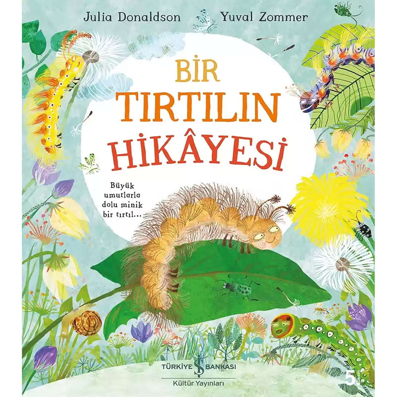 Bir Tırtılın Hikayesi