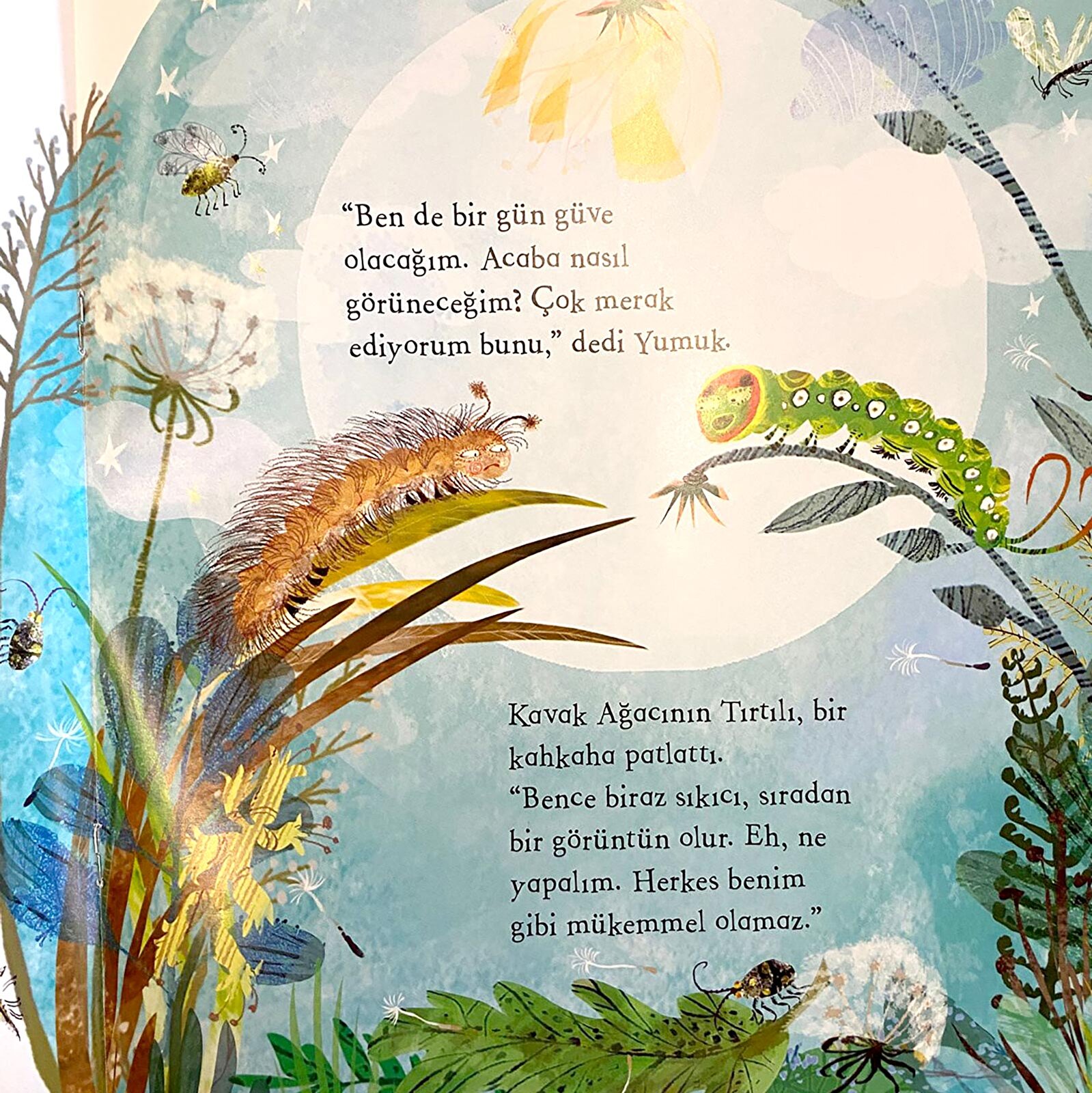 Bir Tırtılın Hikayesi