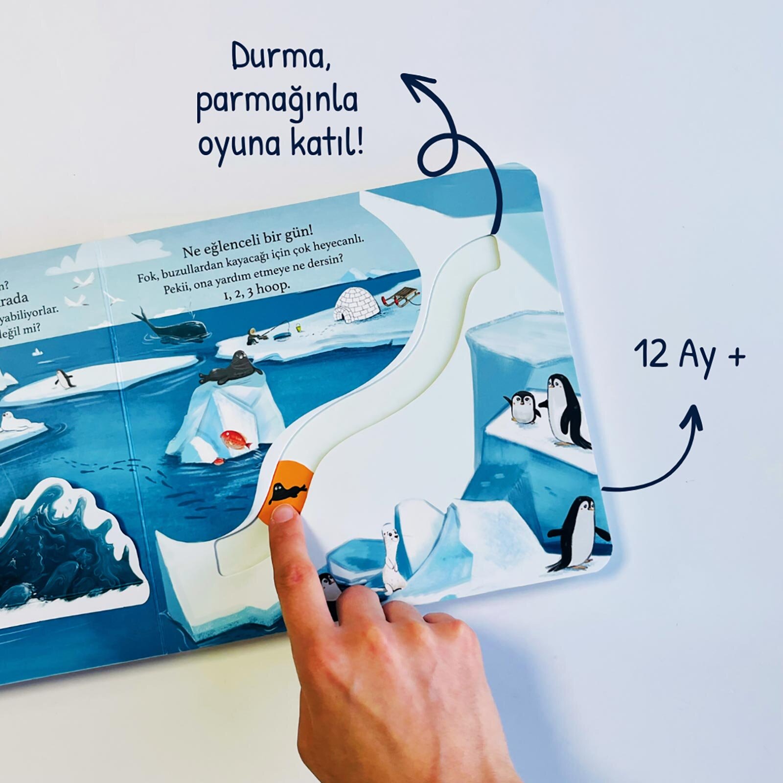 Bir Yola Çık Hayvanlar Parmak Takipli Kitap Bir Yola Çık Hayvanlar Parmak Takipli Kitap