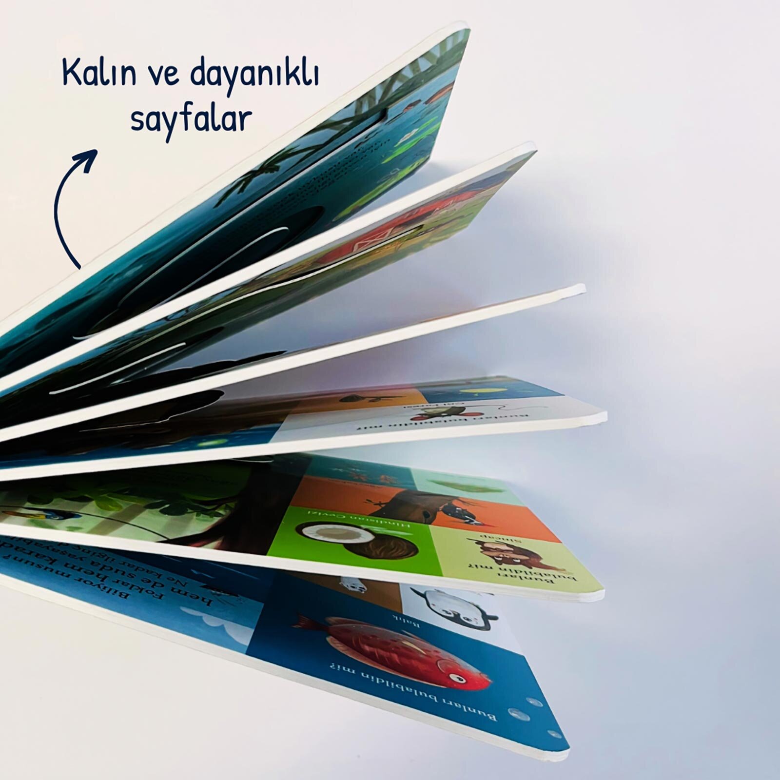Bir Yola Çık Hayvanlar Parmak Takipli Kitap Bir Yola Çık Hayvanlar Parmak Takipli Kitap