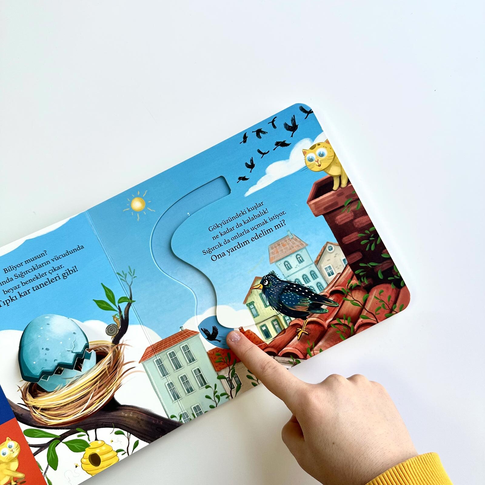 Bir Yola Çık Kuşlar Parmak Takipli Kitap