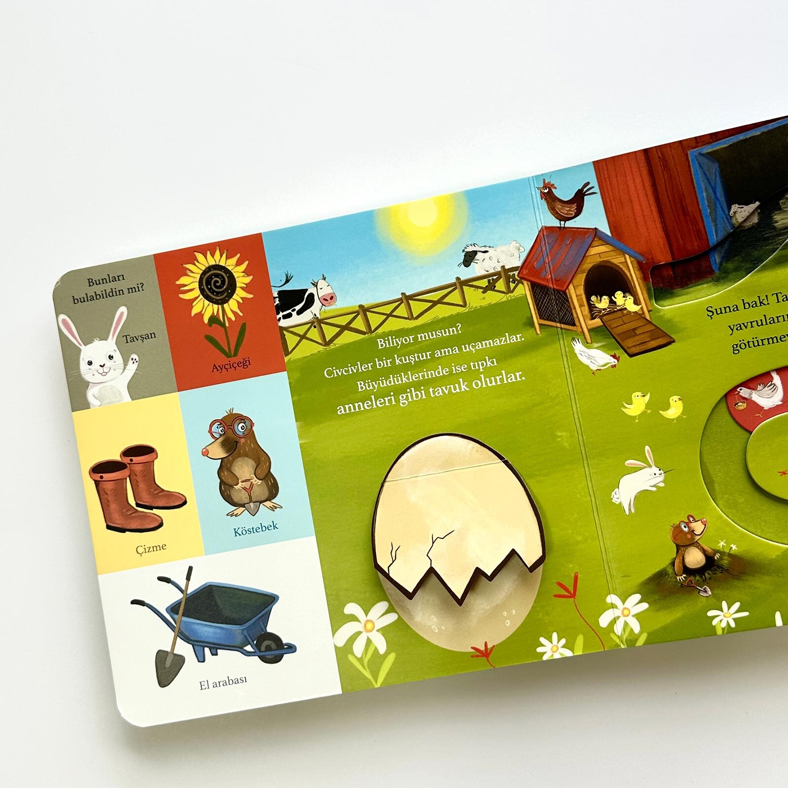 Bir Yola Çık Kuşlar Parmak Takipli Kitap