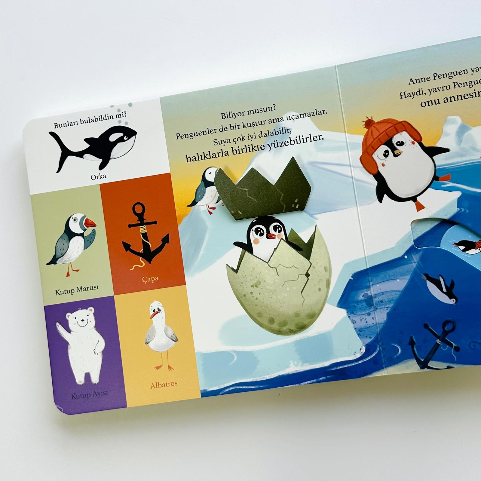 Bir Yola Çık Kuşlar Parmak Takipli Kitap