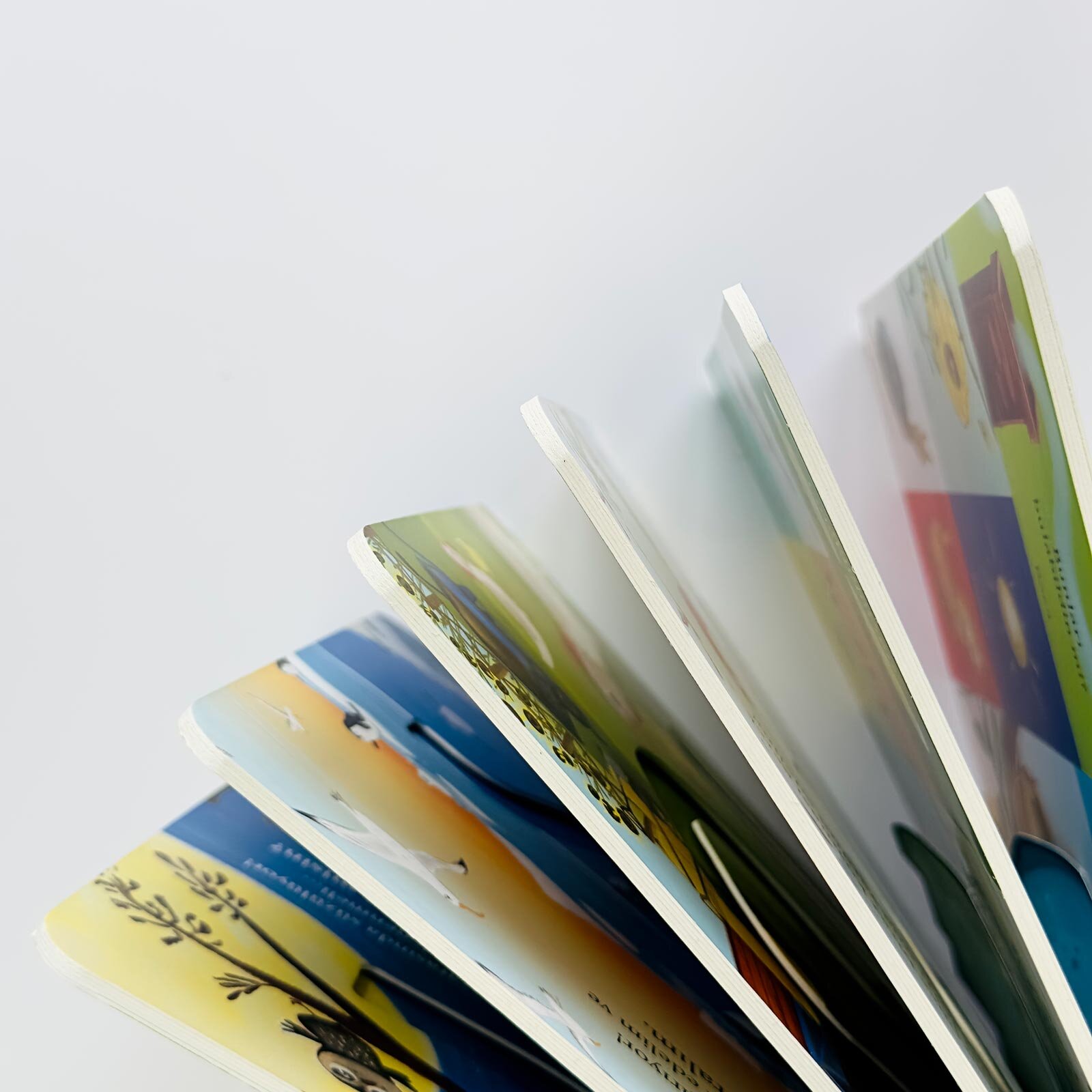 Bir Yola Çık Kuşlar Parmak Takipli Kitap