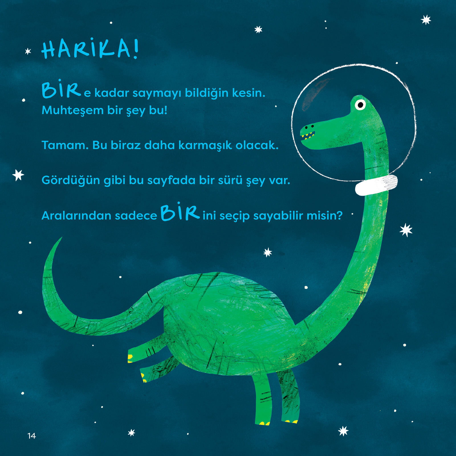 Bire Kadar Sayma Rehberi